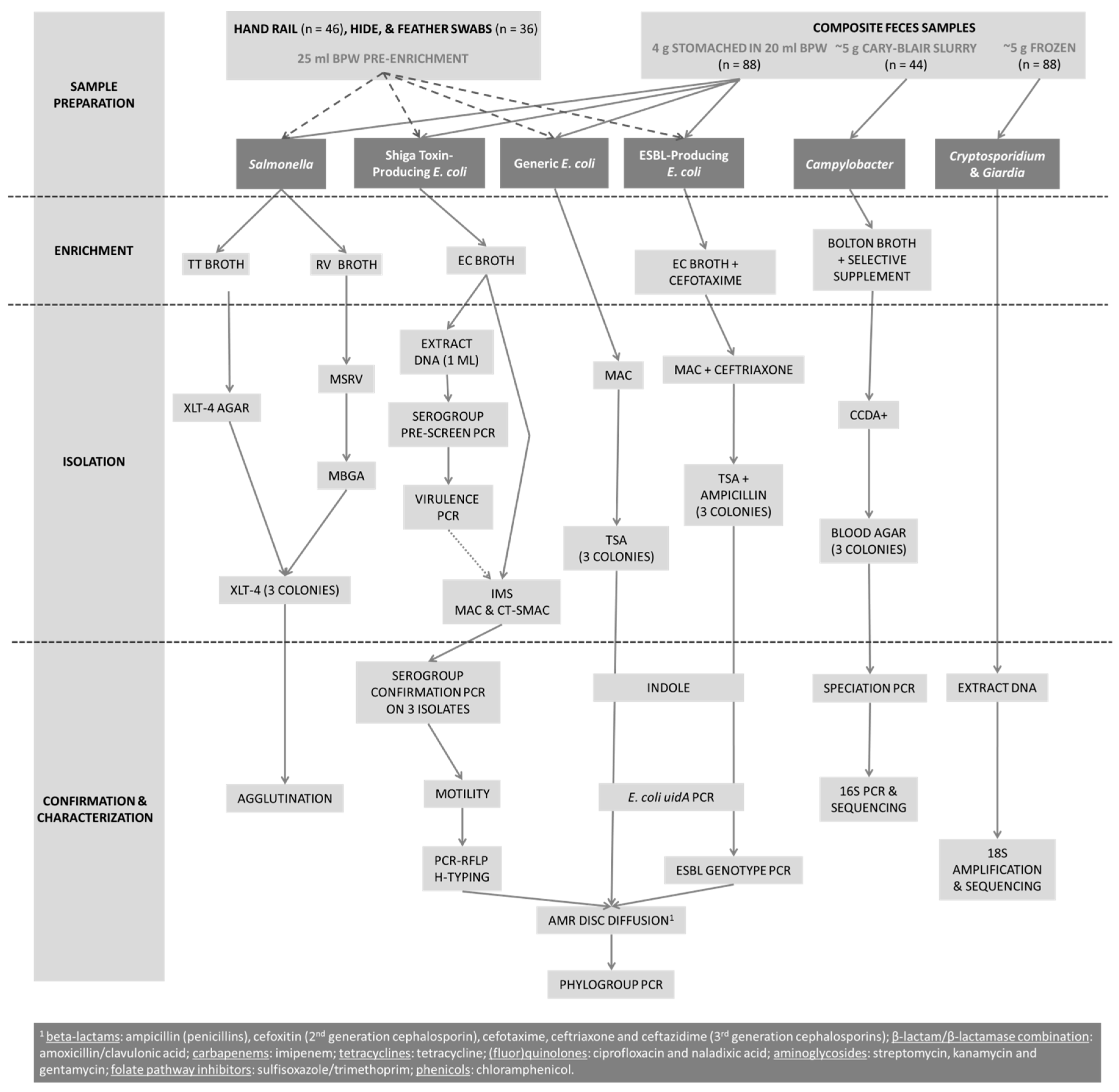 Microorganisms 06 00070 g001