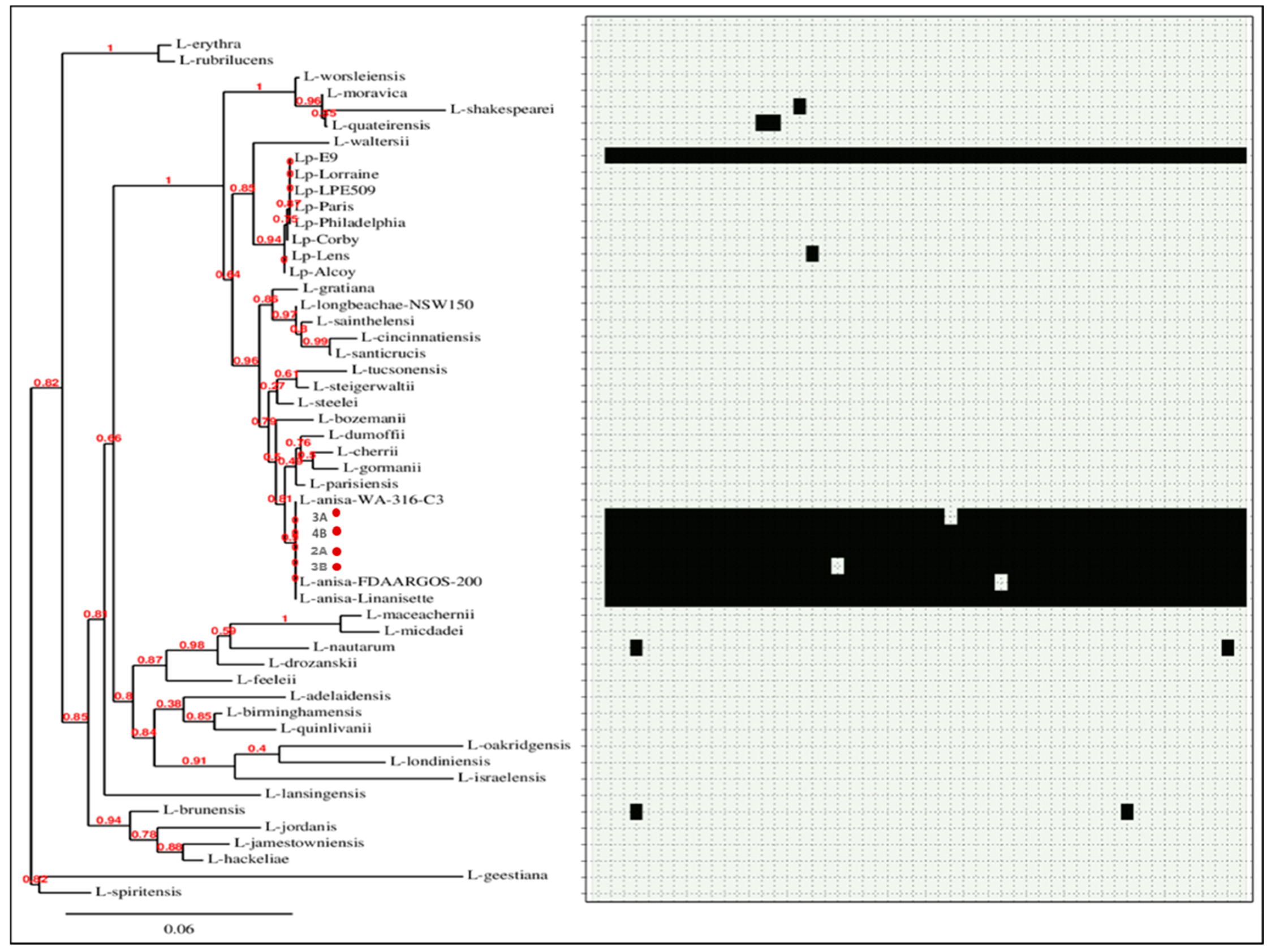 Microorganisms 06 00071 g007