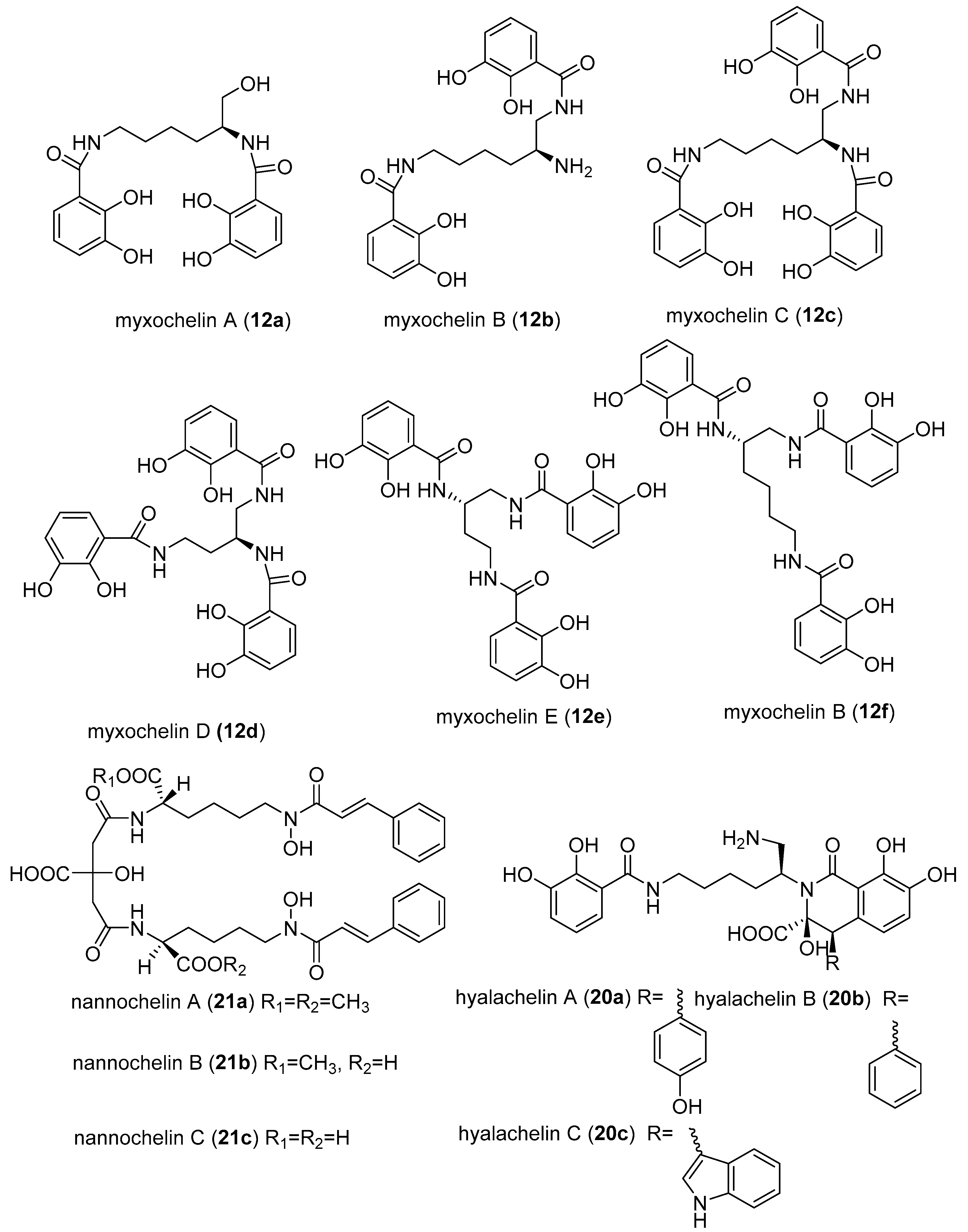 Microorganisms 06 00073 g004