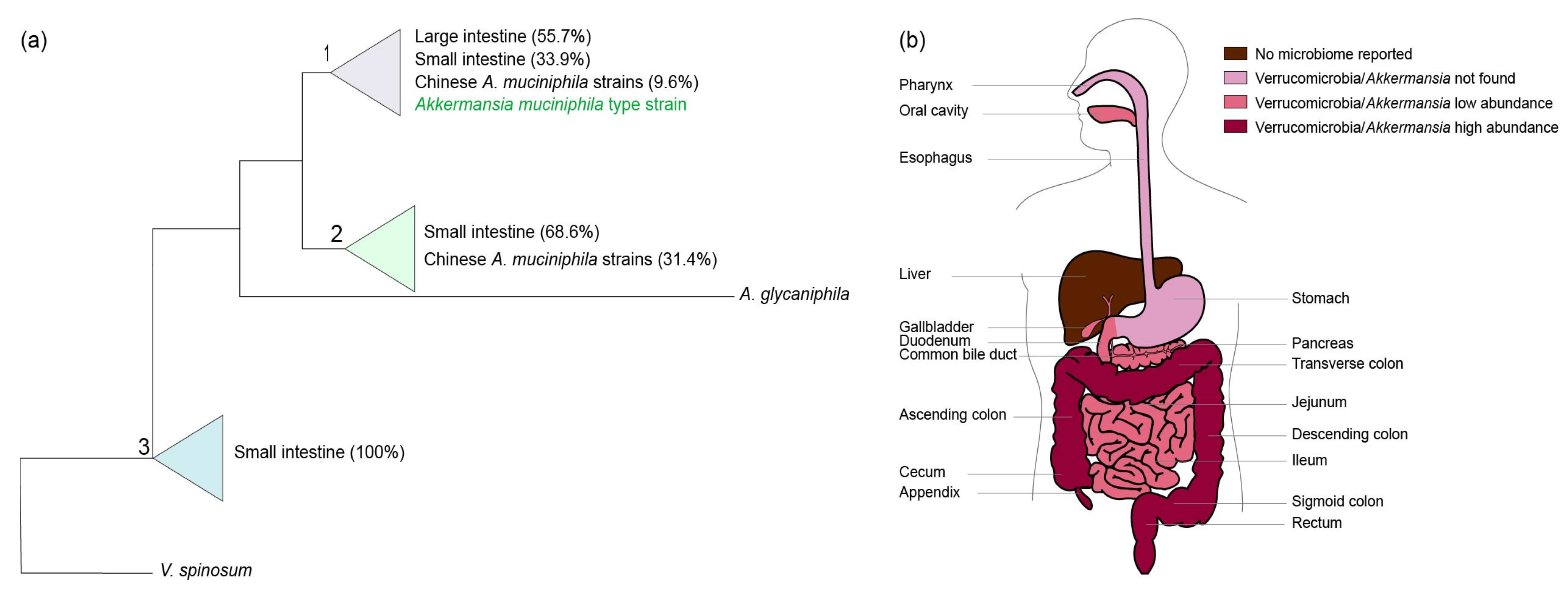 Microorganisms 06 00075 g001