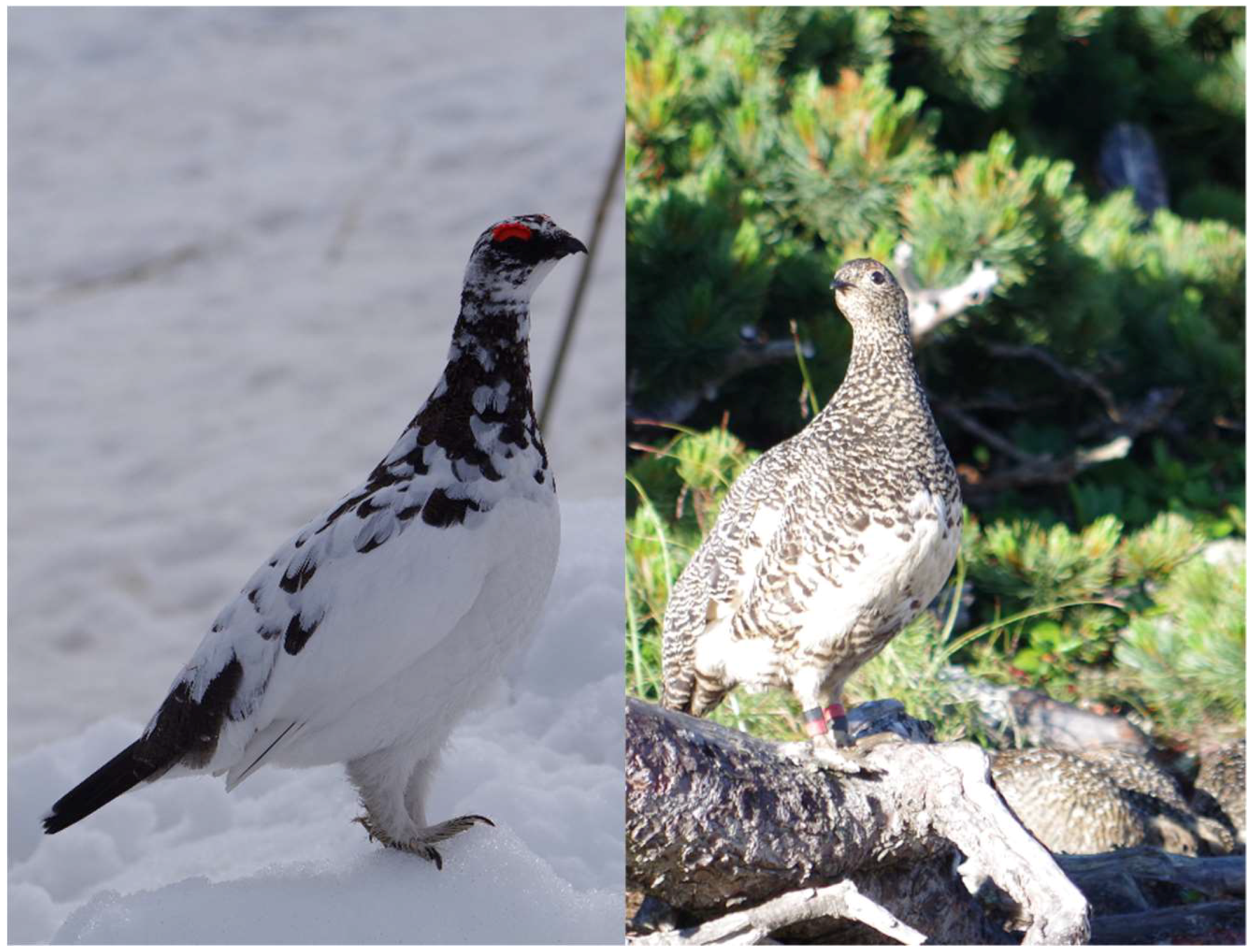 Microorganisms 06 00077 g002 Microorganisms 06 00077 g002