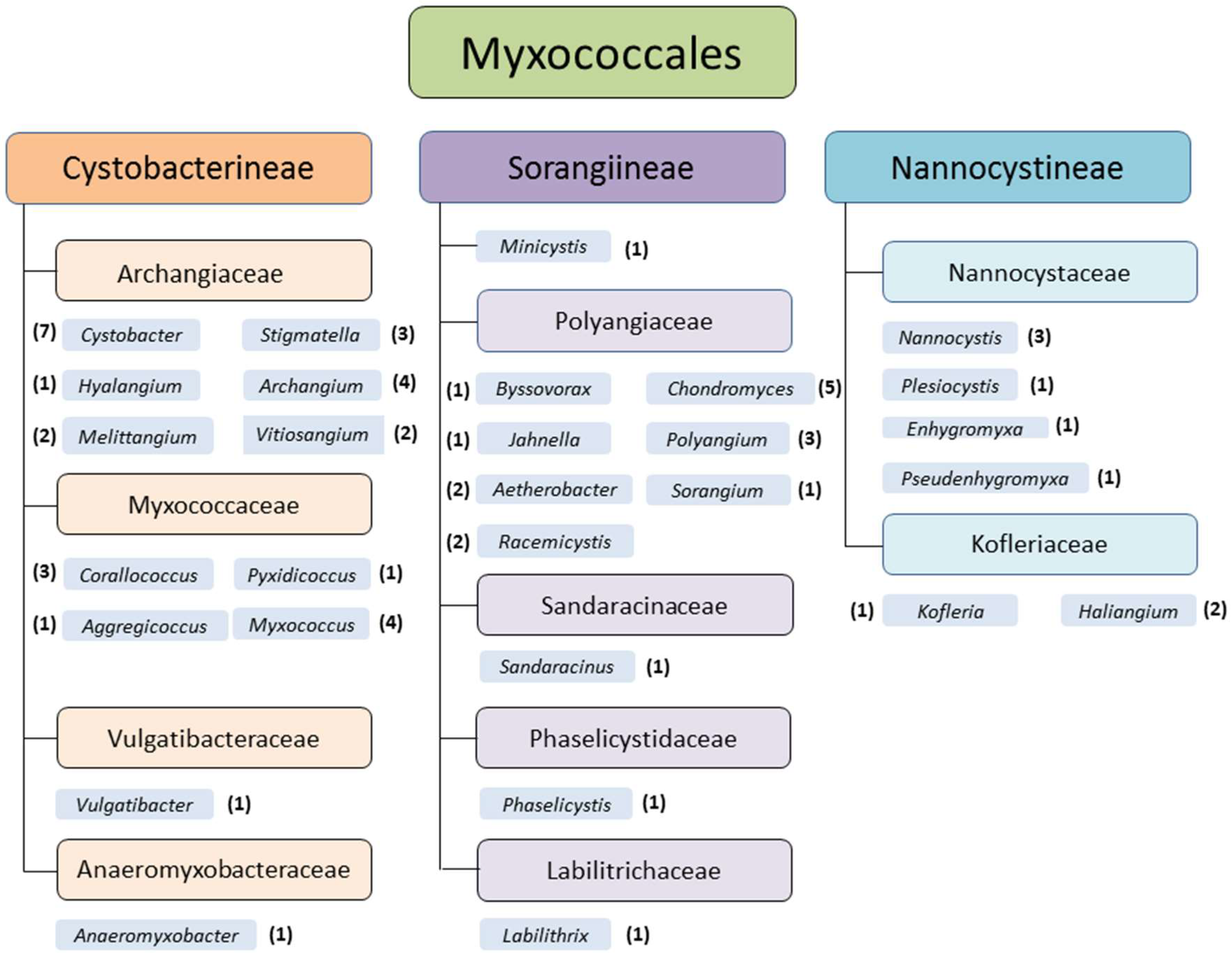 Microorganisms 06 00084 g001