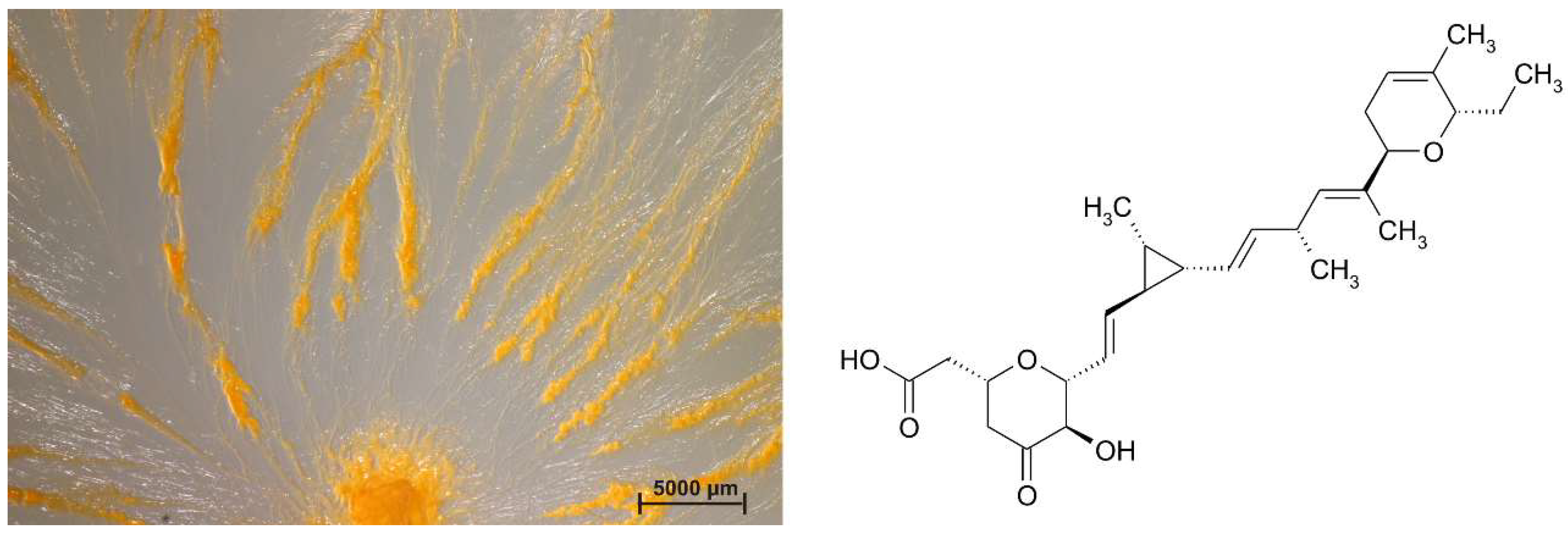 Microorganisms 06 00084 g003