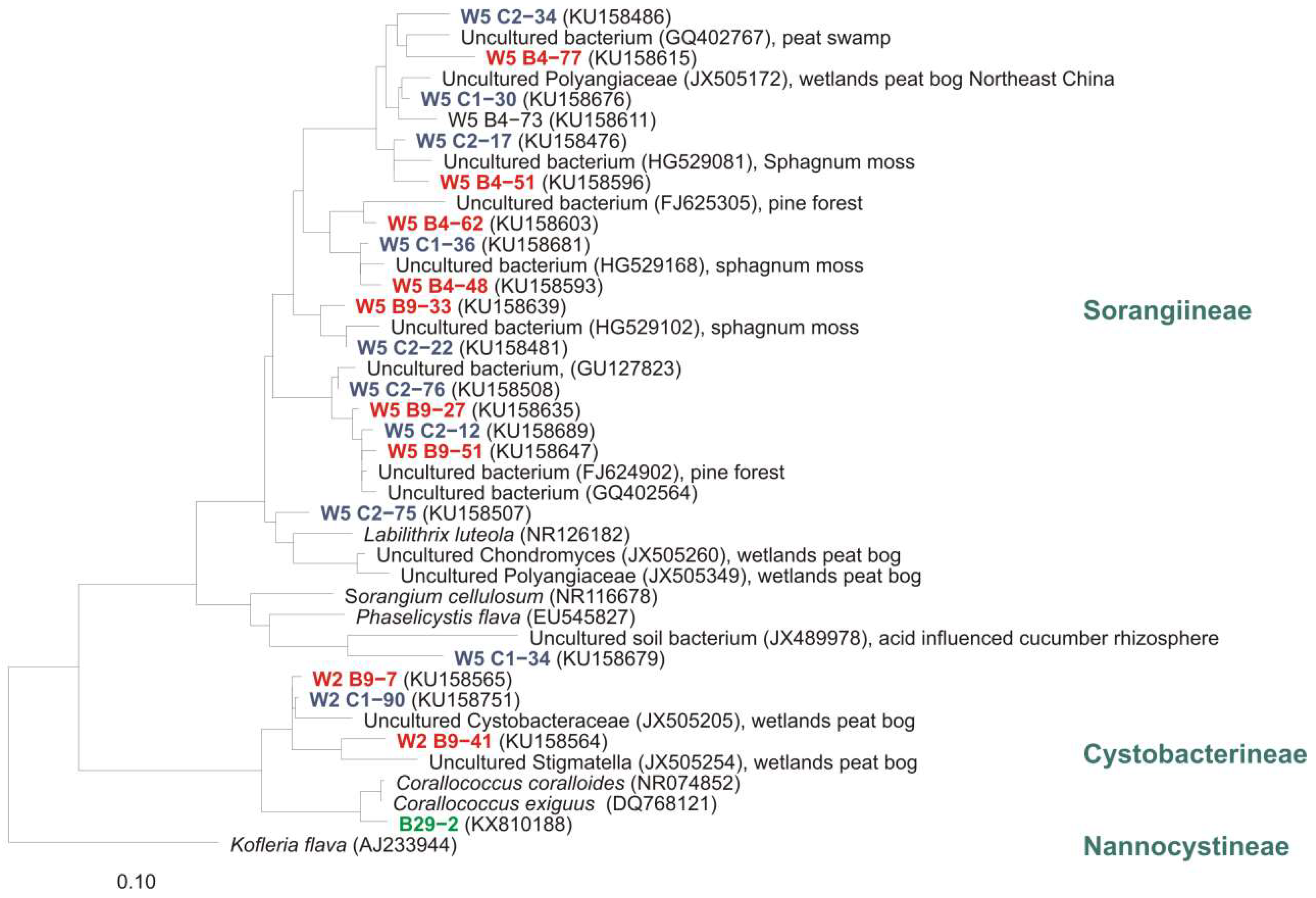 Microorganisms 06 00084 g008
