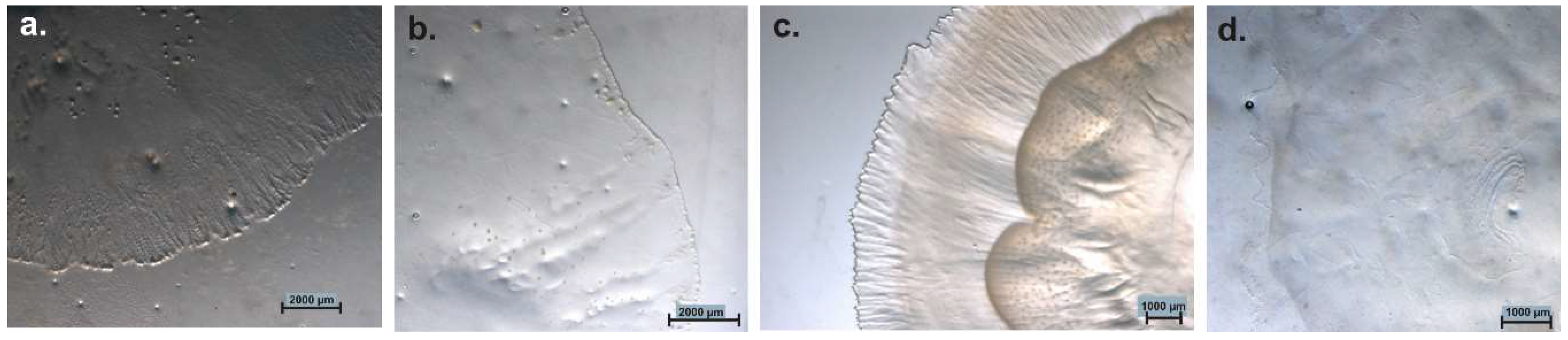 Microorganisms 06 00084 g009