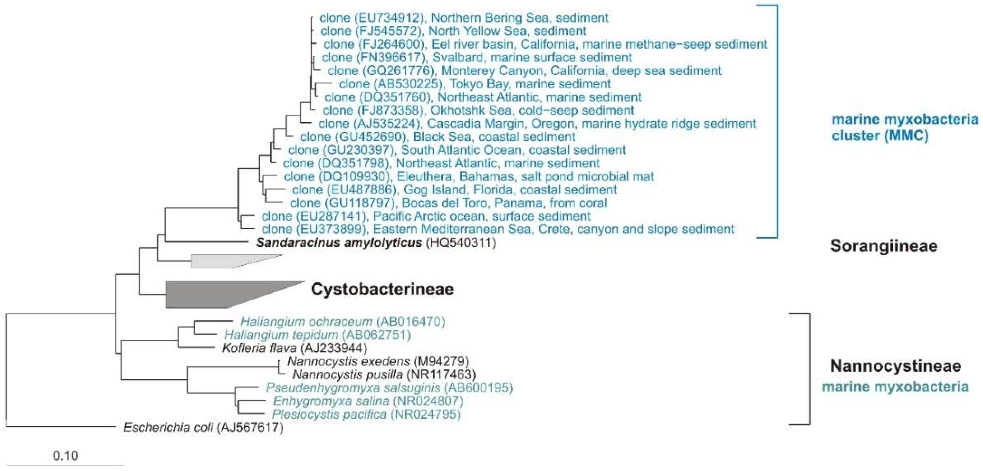Microorganisms 06 00084 g010