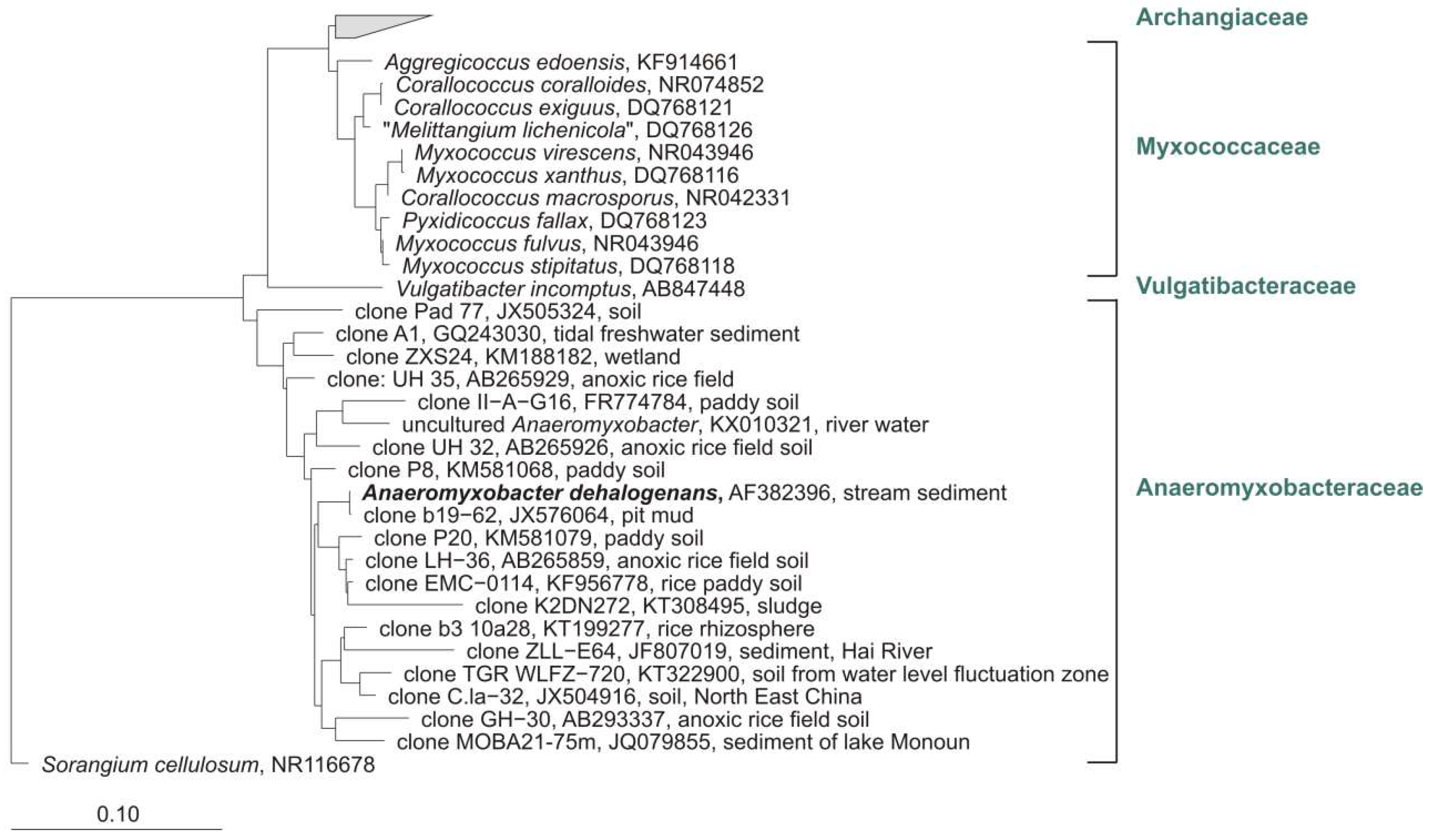 Microorganisms 06 00084 g011