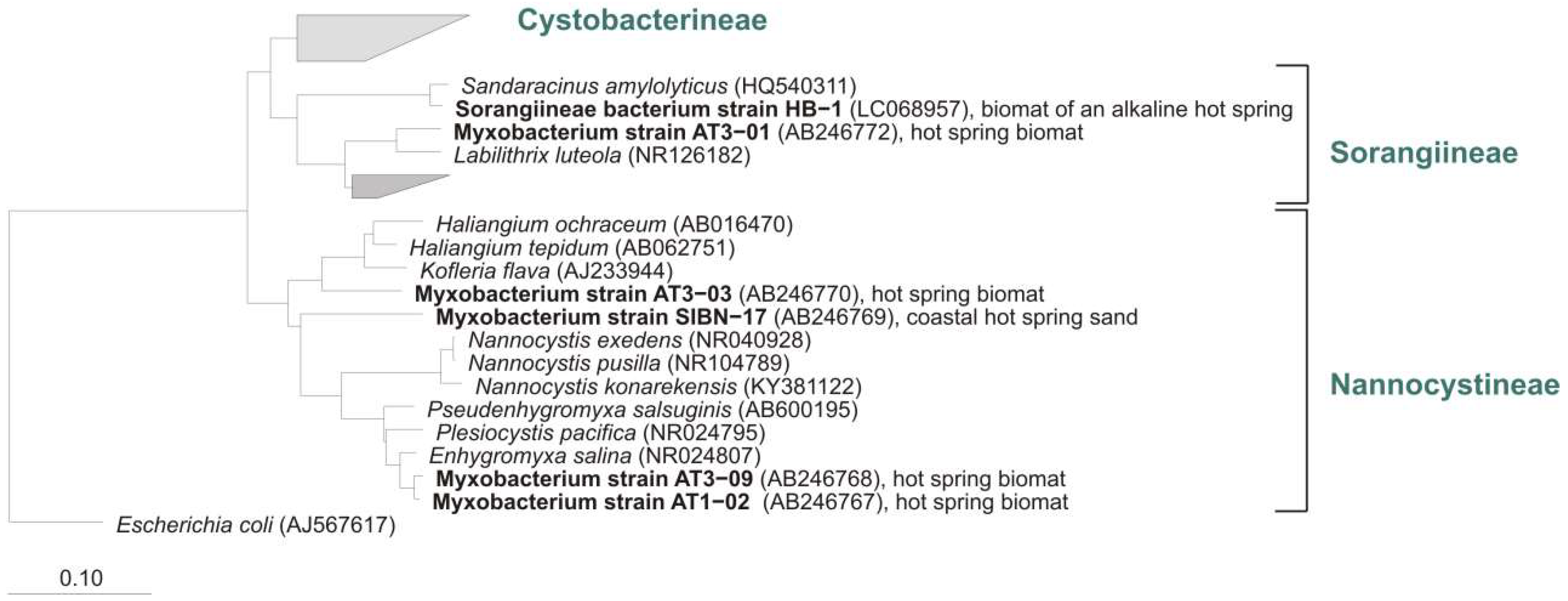 Microorganisms 06 00084 g013