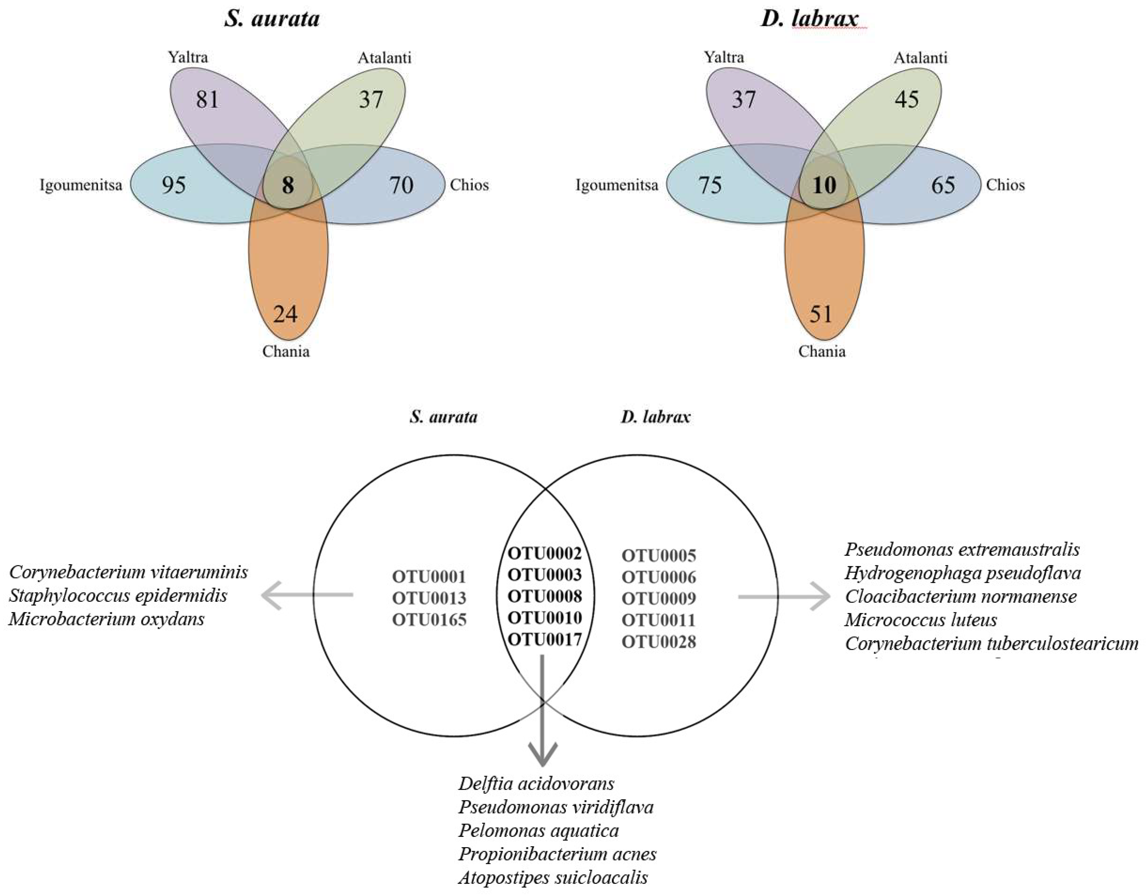 Microorganisms 06 00092 g001