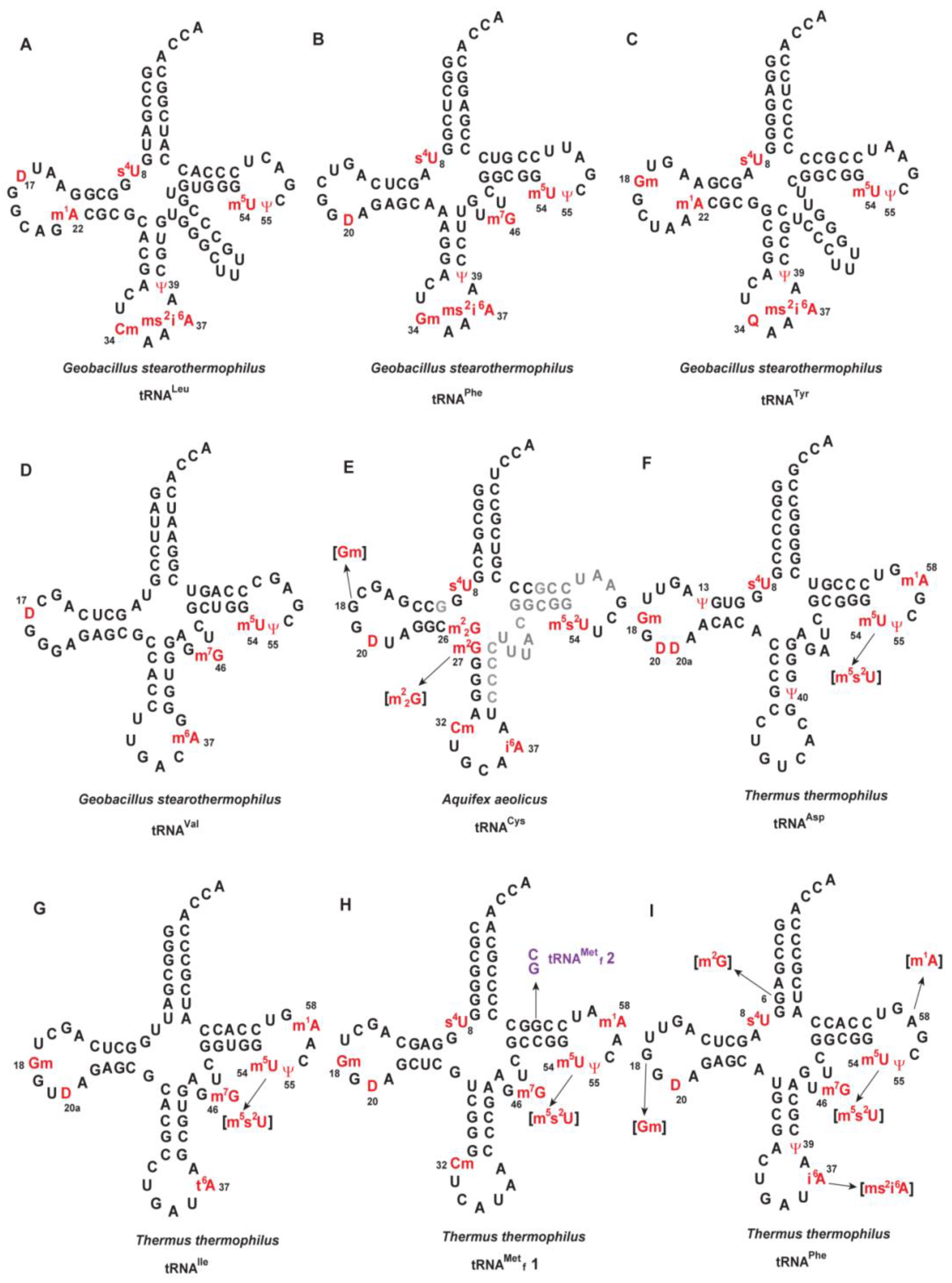 Microorganisms 06 00110 g002a