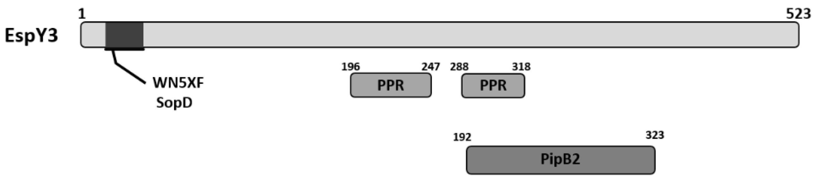 Microorganisms 06 00112 g001