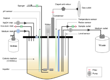 Microorganisms 06 00115 i002 Microorganisms 06 00115 i002