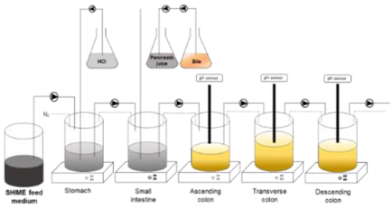 Microorganisms 06 00115 i003 Microorganisms 06 00115 i003