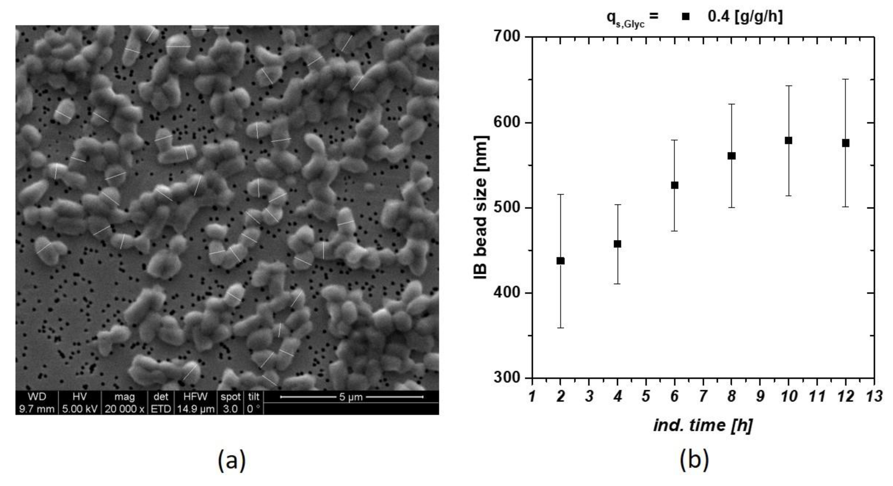 Microorganisms 06 00116 g001