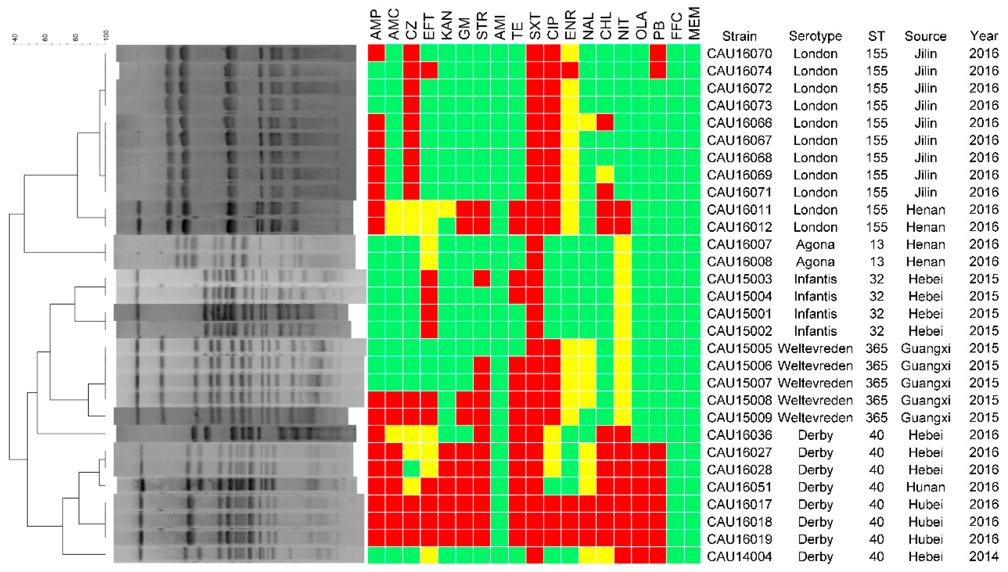 Microorganisms 06 00117 g002