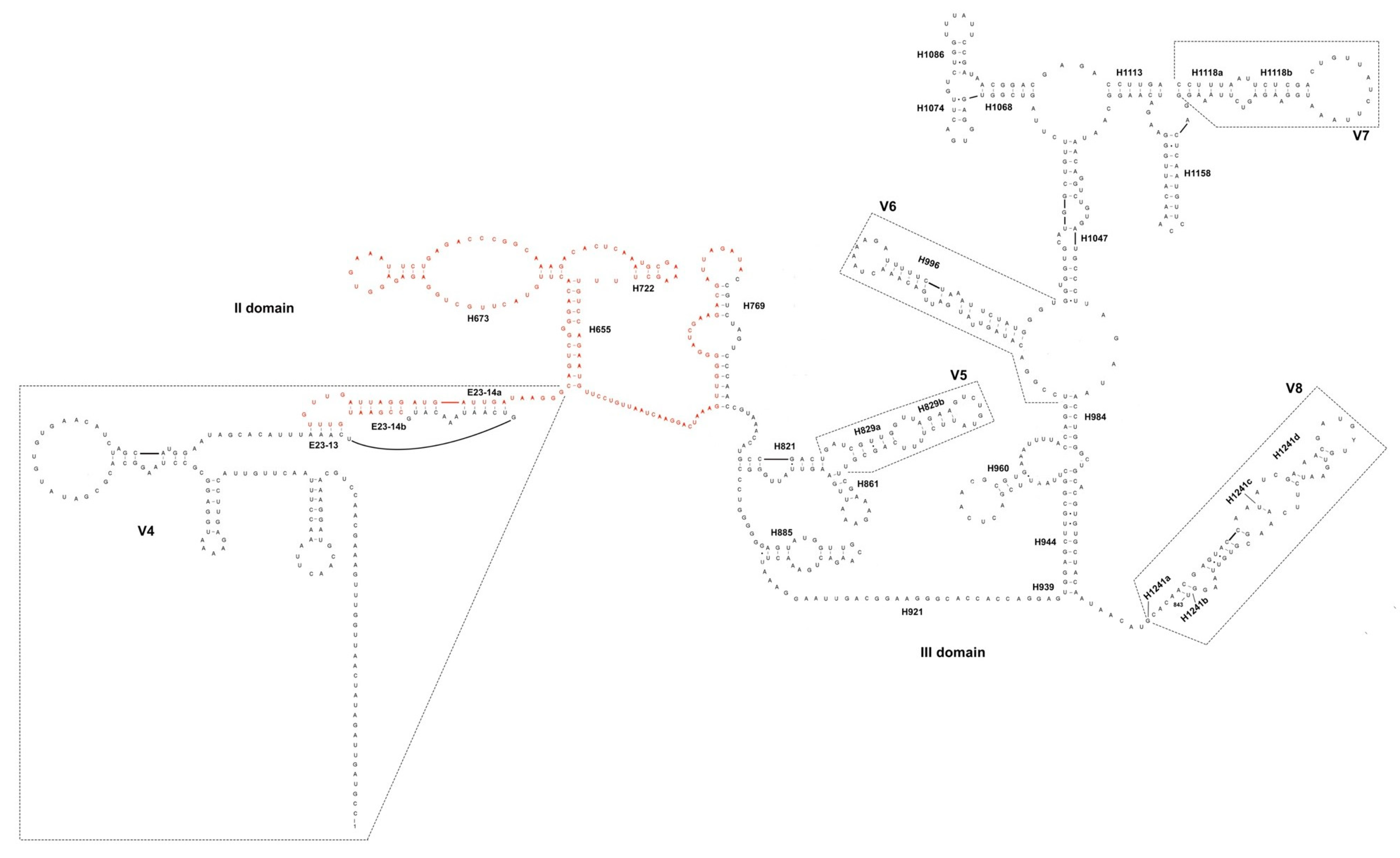 Microorganisms 06 00119 g002