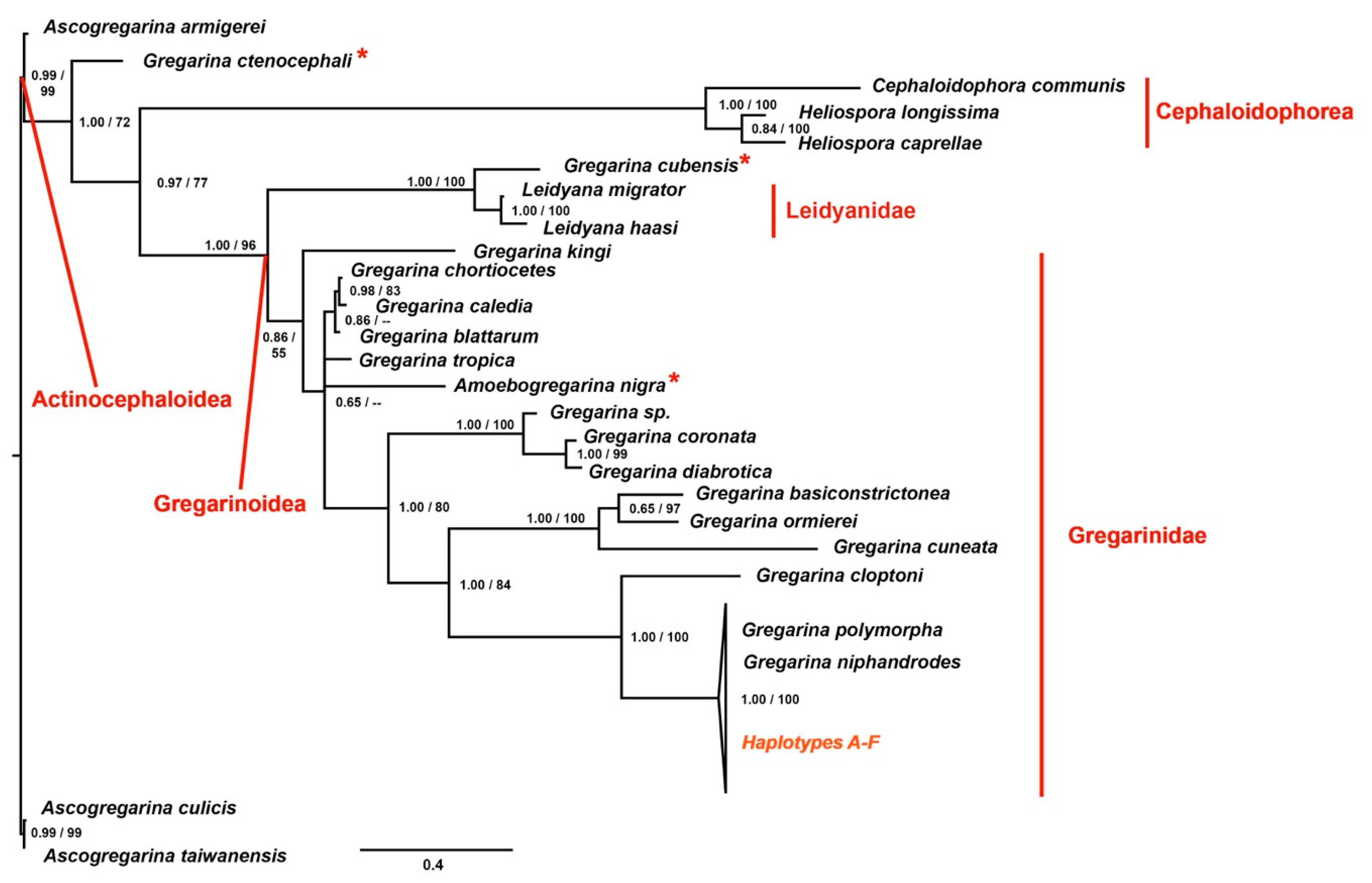Microorganisms 06 00119 g003