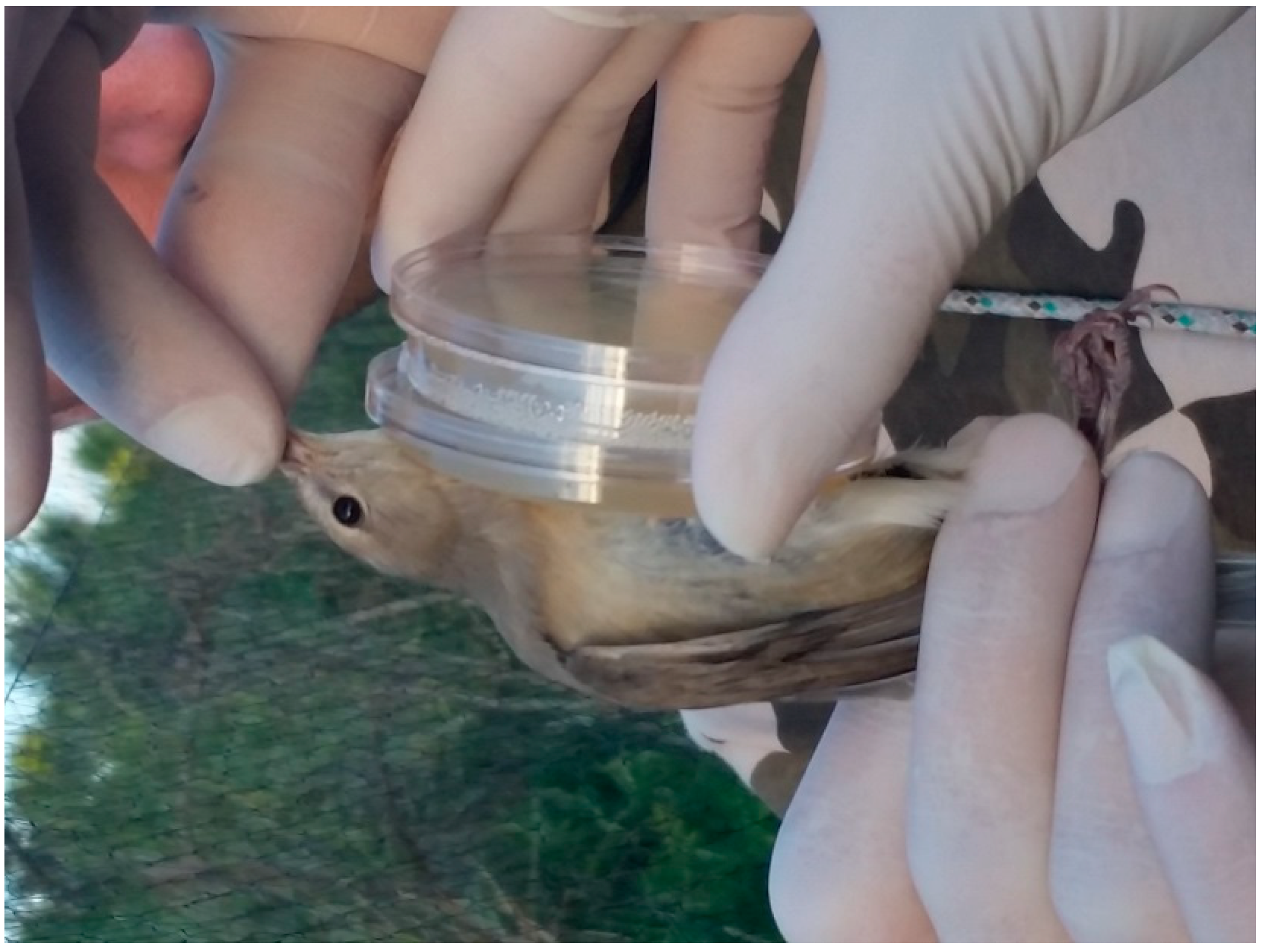 Microorganisms 06 00124 g002 Microorganisms 06 00124 g002