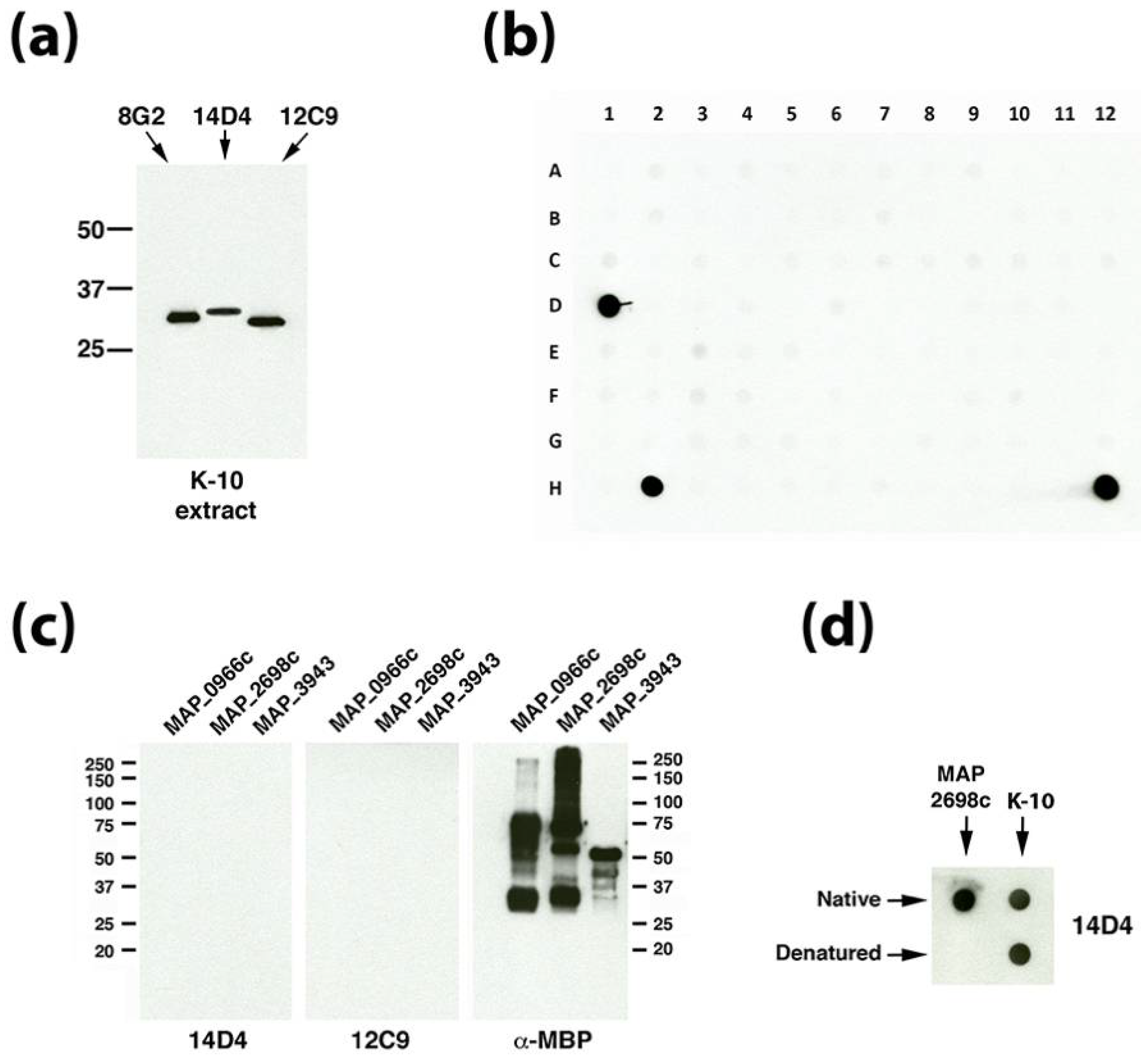 Microorganisms 06 00127 g002