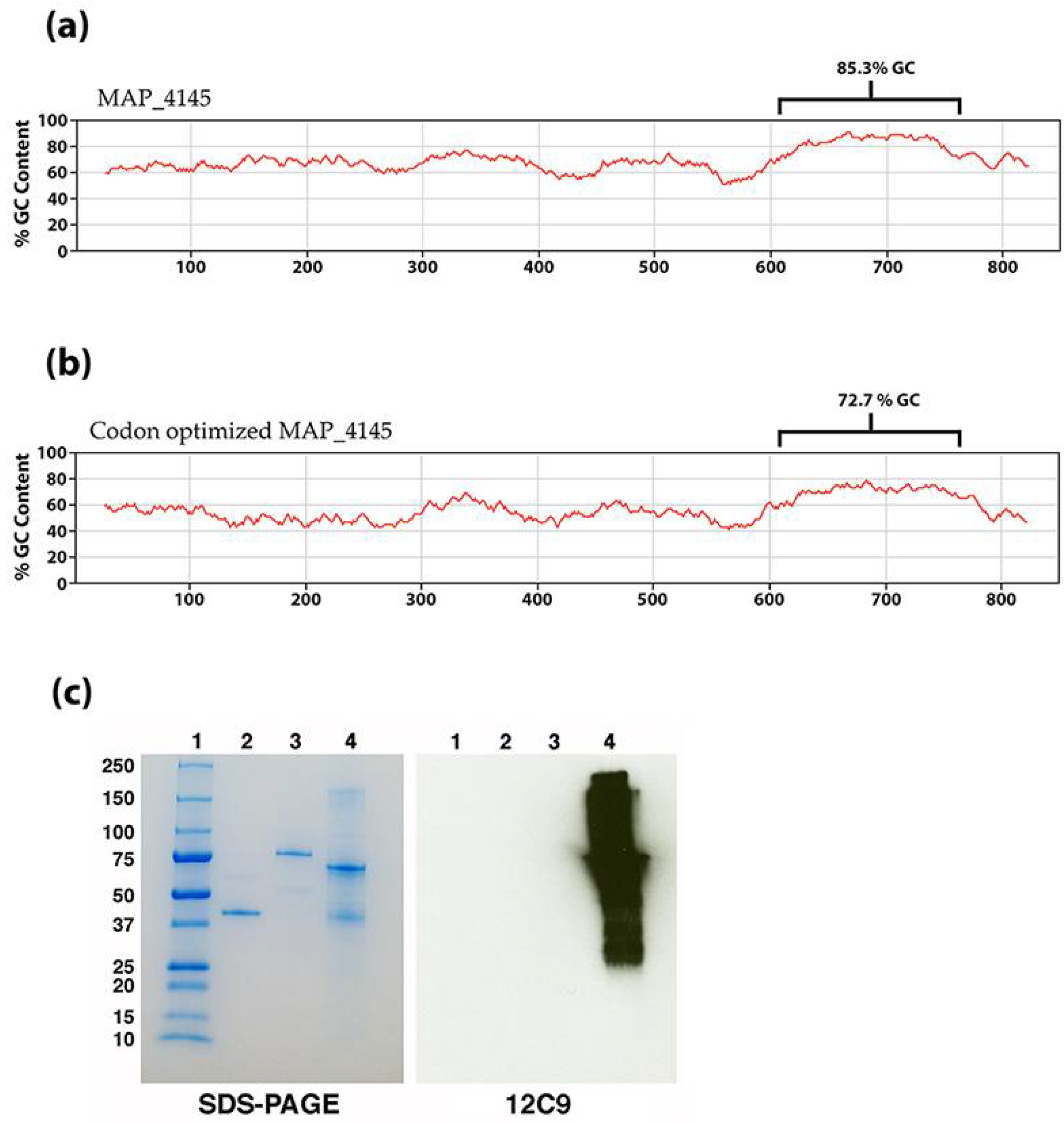 Microorganisms 06 00127 g004