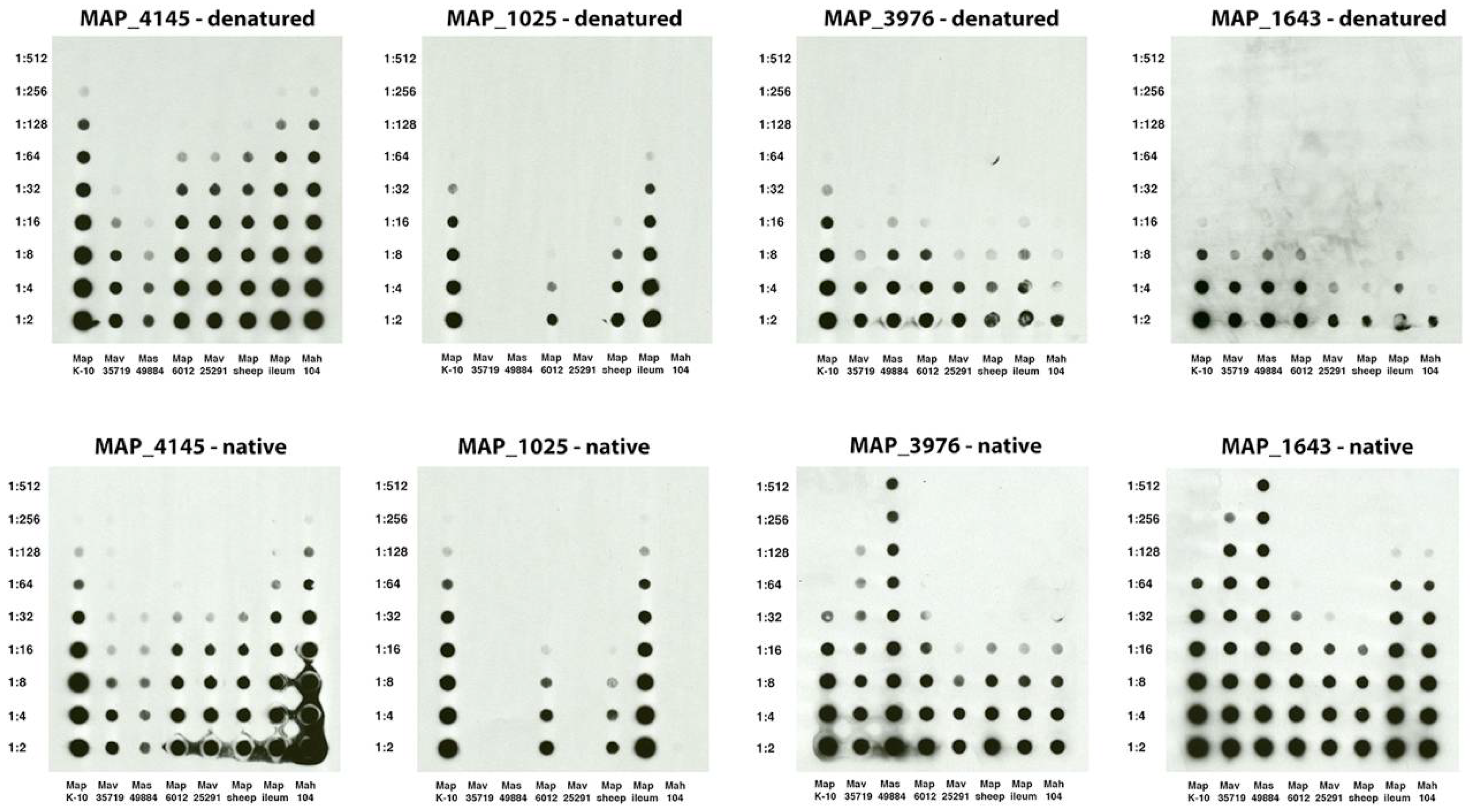 Microorganisms 06 00127 g006