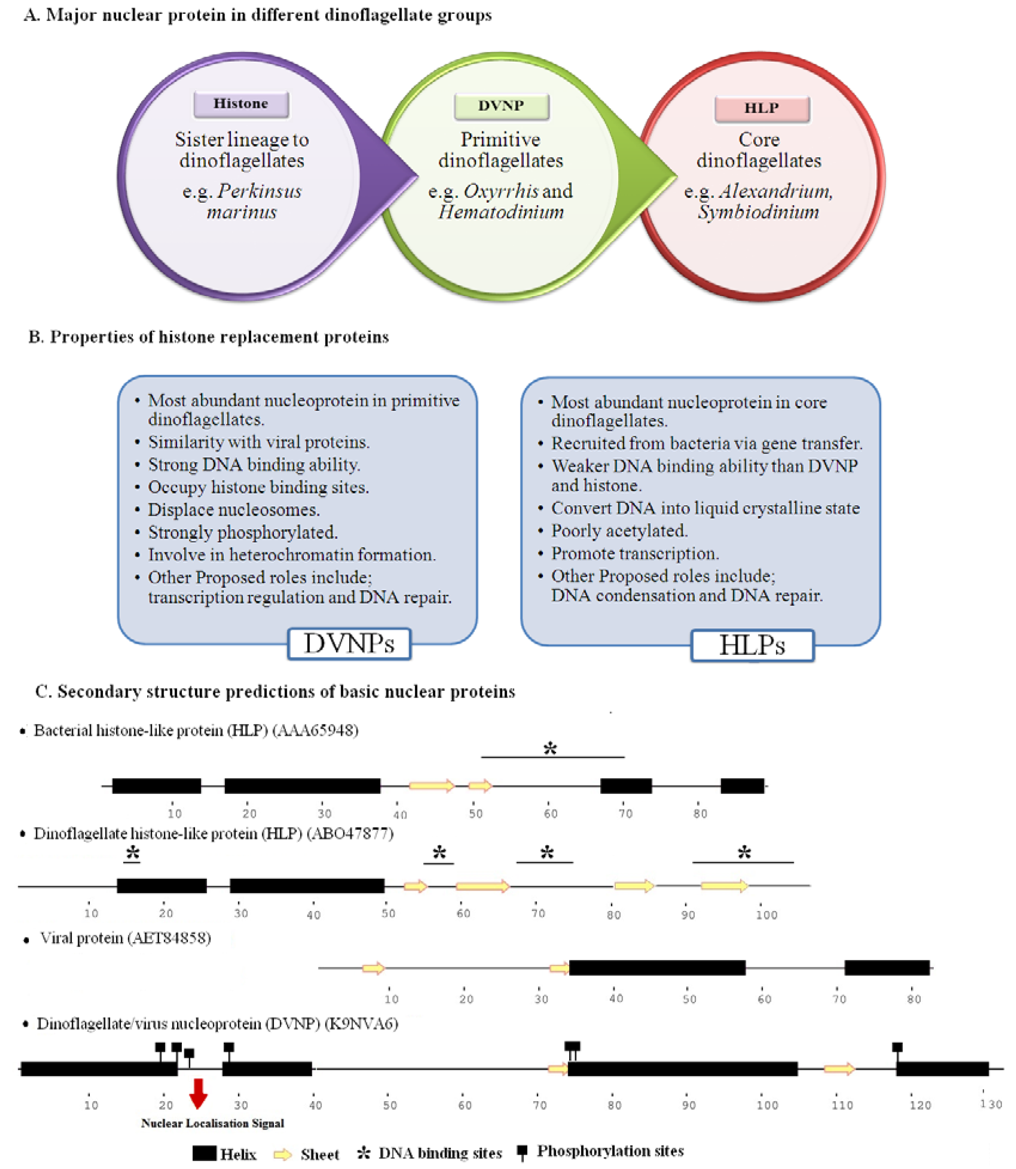 Microorganisms 06 00128 g001 Microorganisms 06 00128 g001
