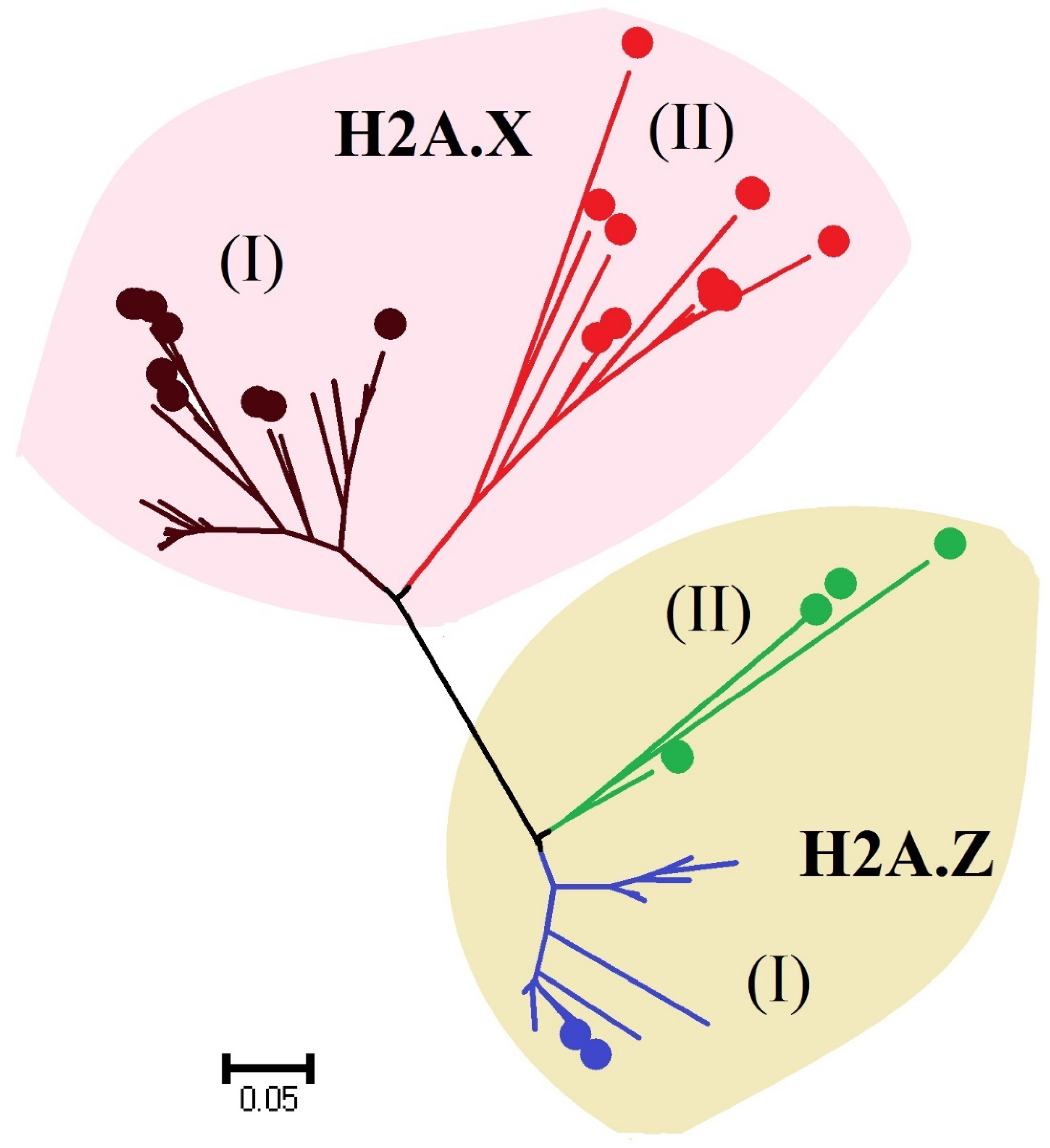 Microorganisms 06 00128 g002 Microorganisms 06 00128 g002