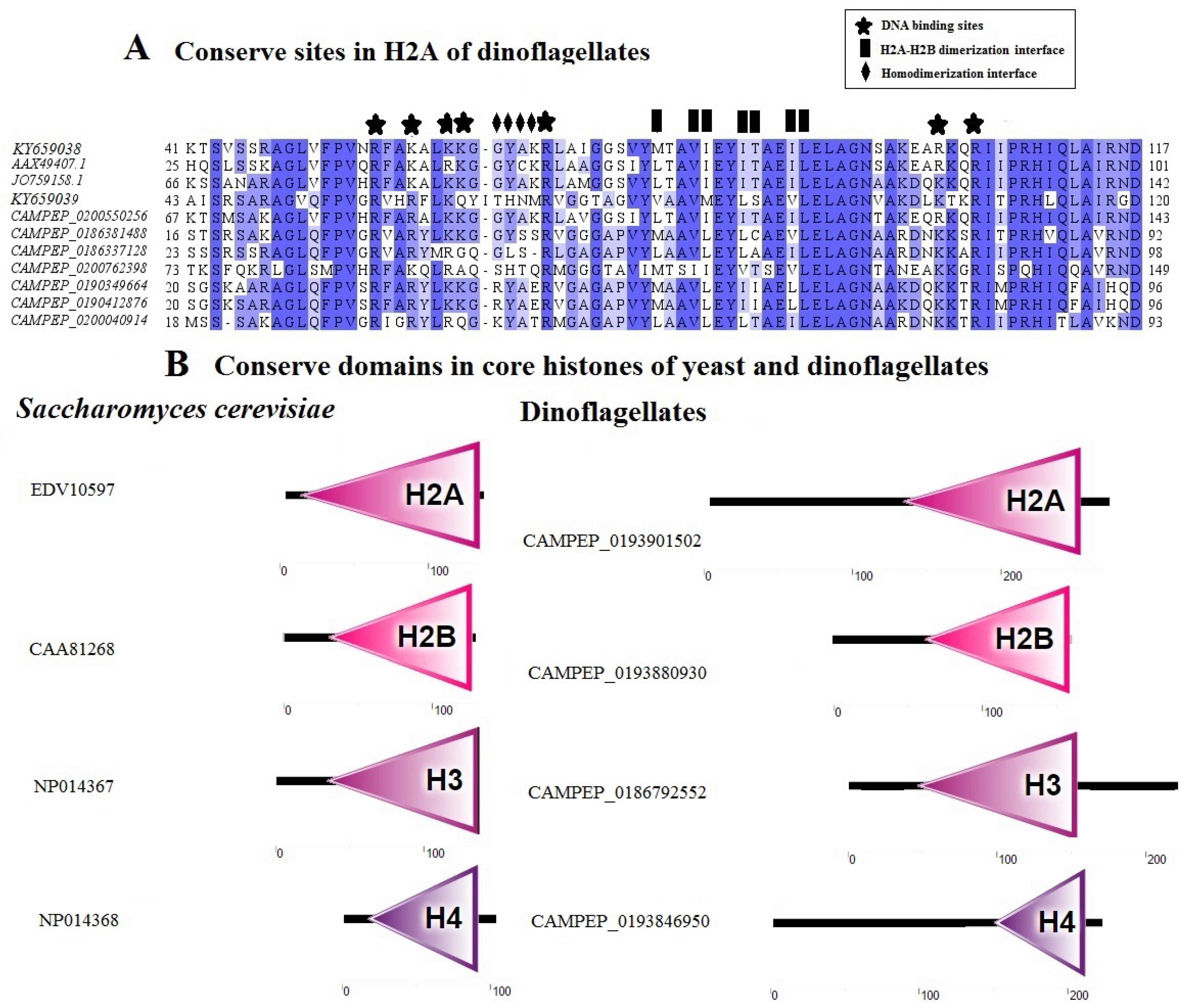 Microorganisms 06 00128 g003 Microorganisms 06 00128 g003