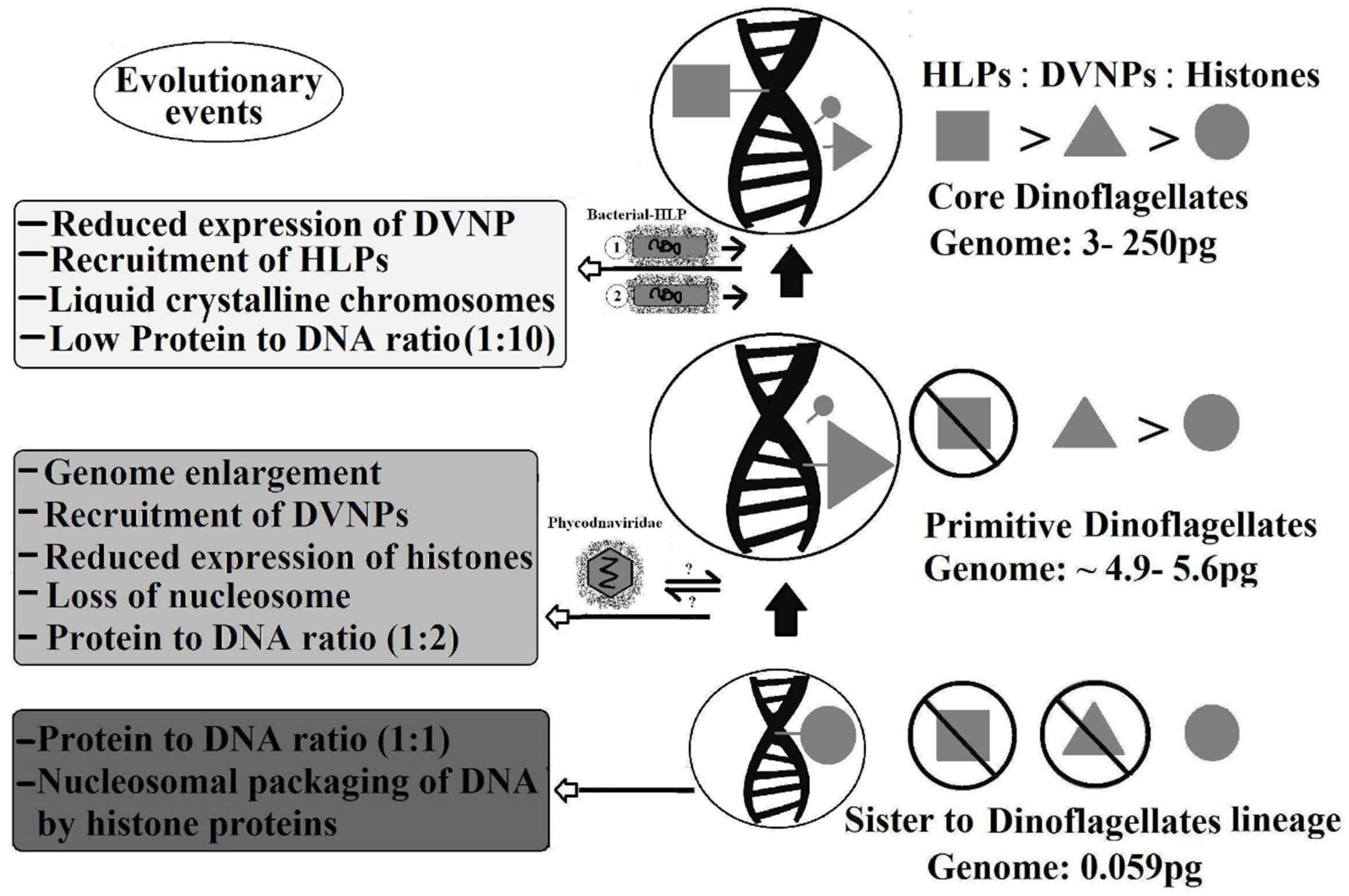Microorganisms 06 00128 g004 Microorganisms 06 00128 g004