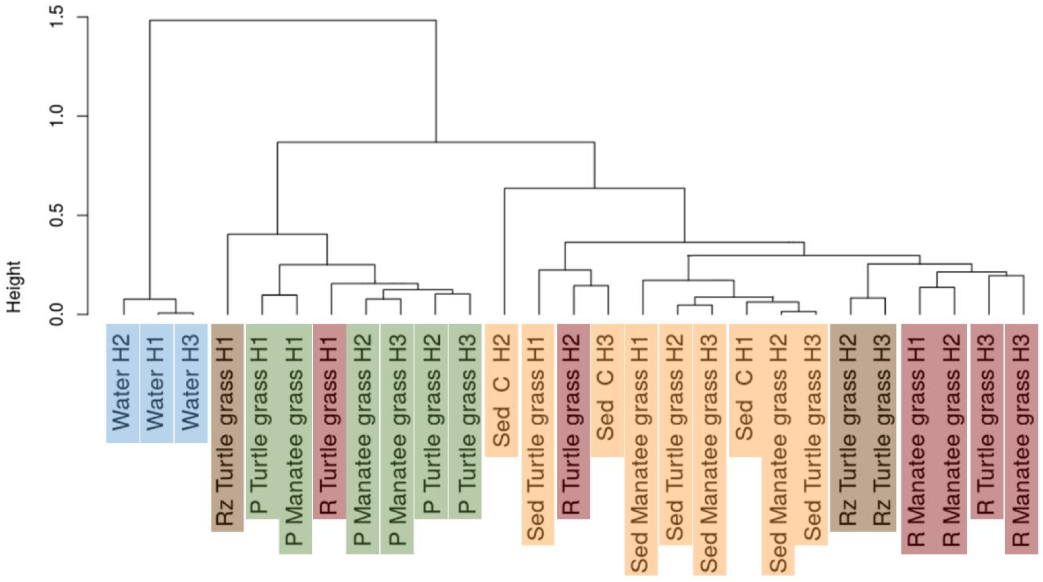 Microorganisms 07 00004 g002