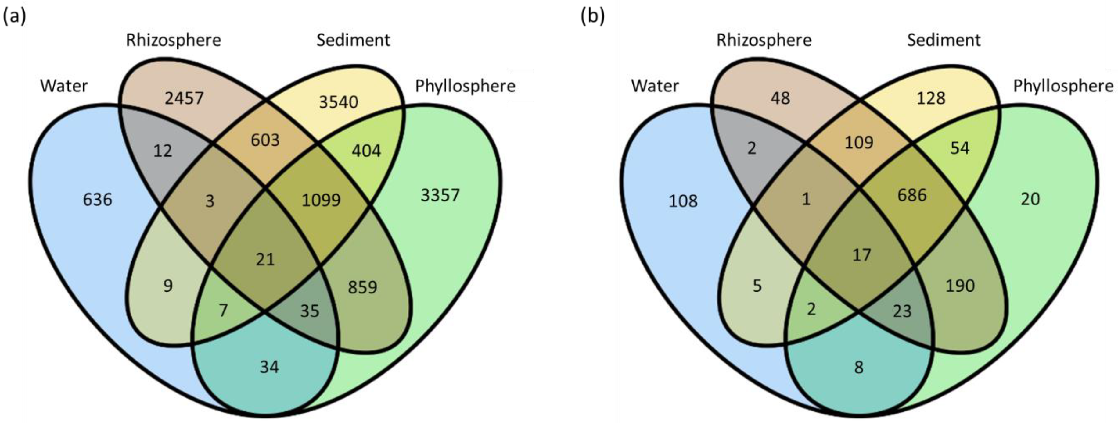 Microorganisms 07 00004 g003