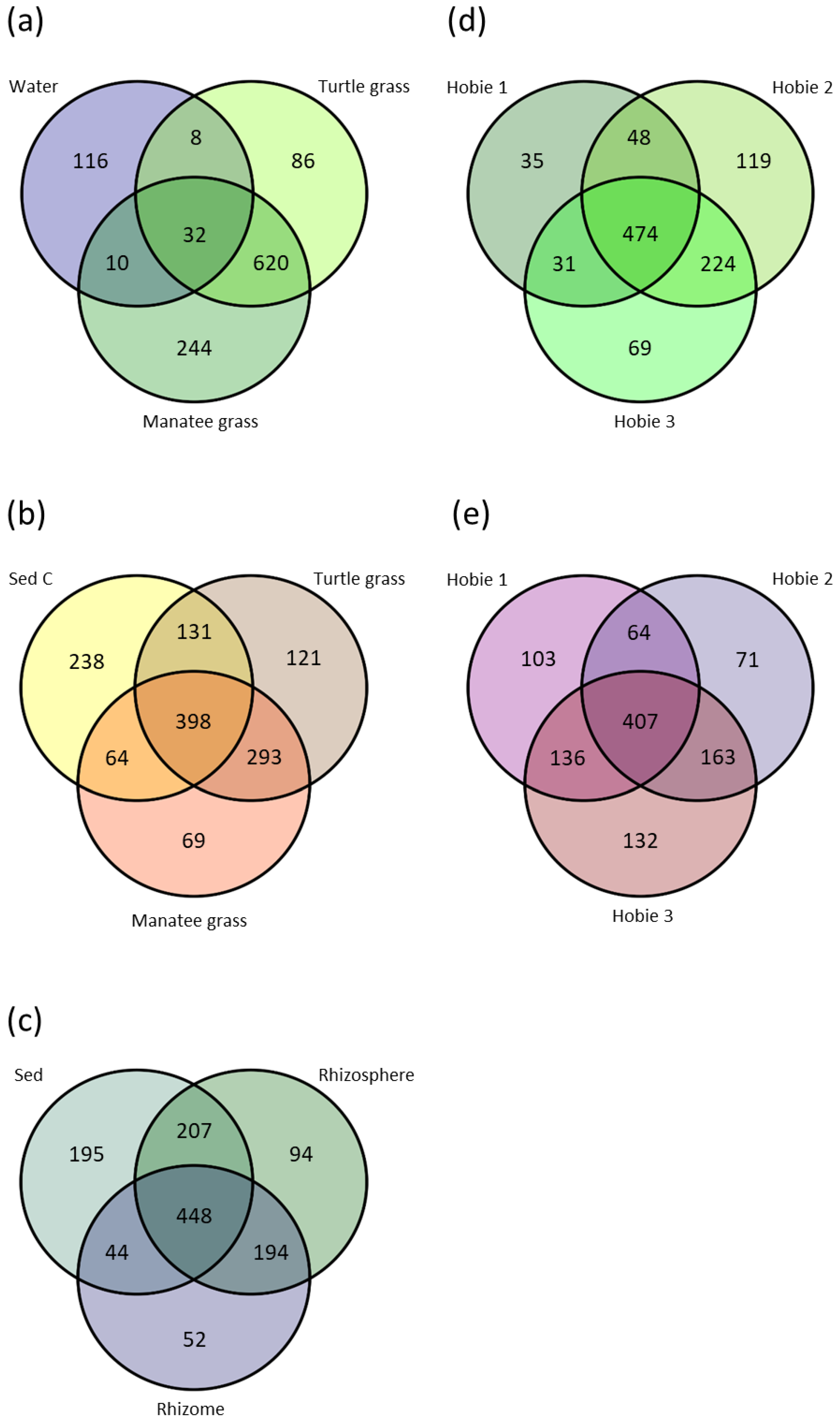 Microorganisms 07 00004 g004