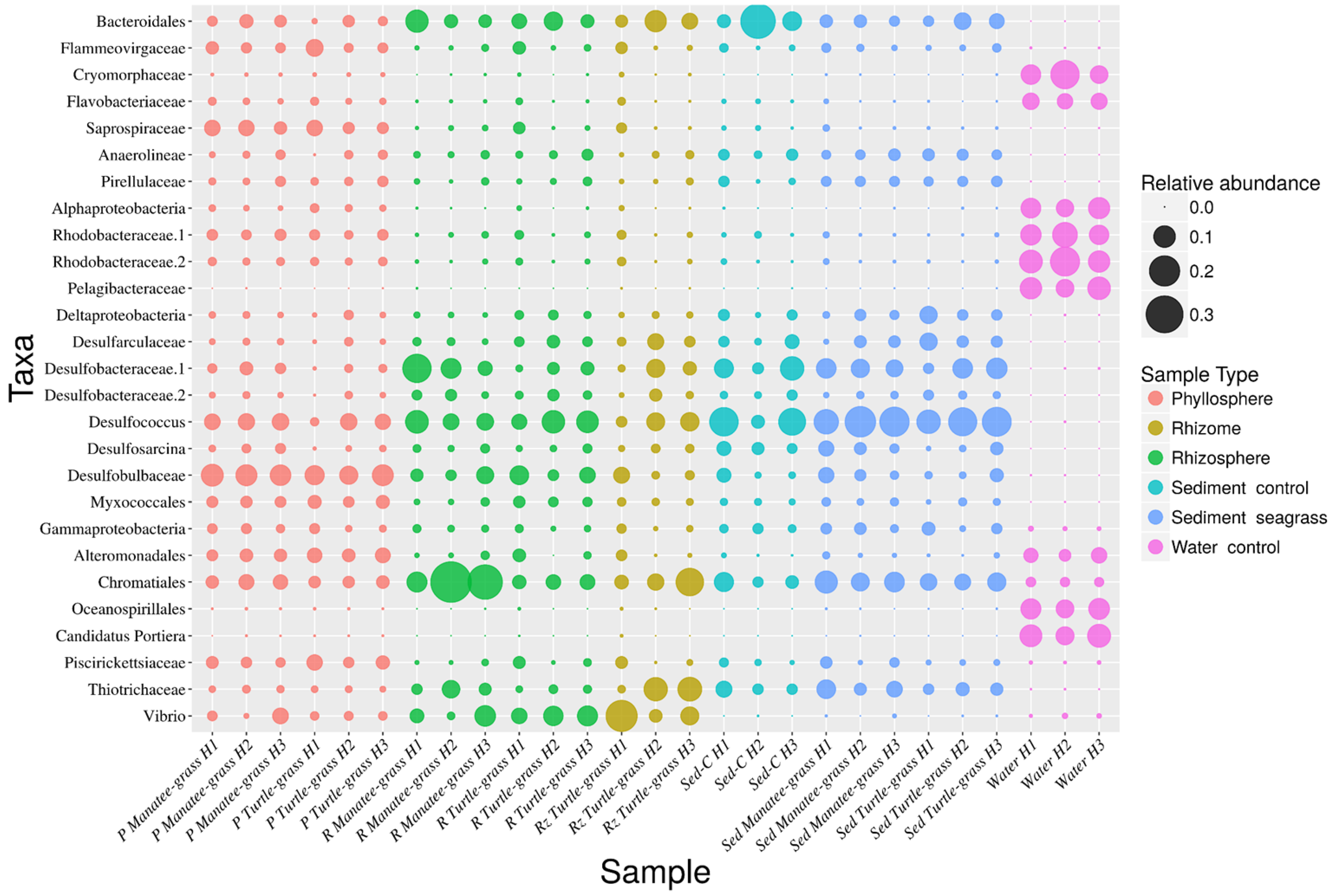 Microorganisms 07 00004 g005