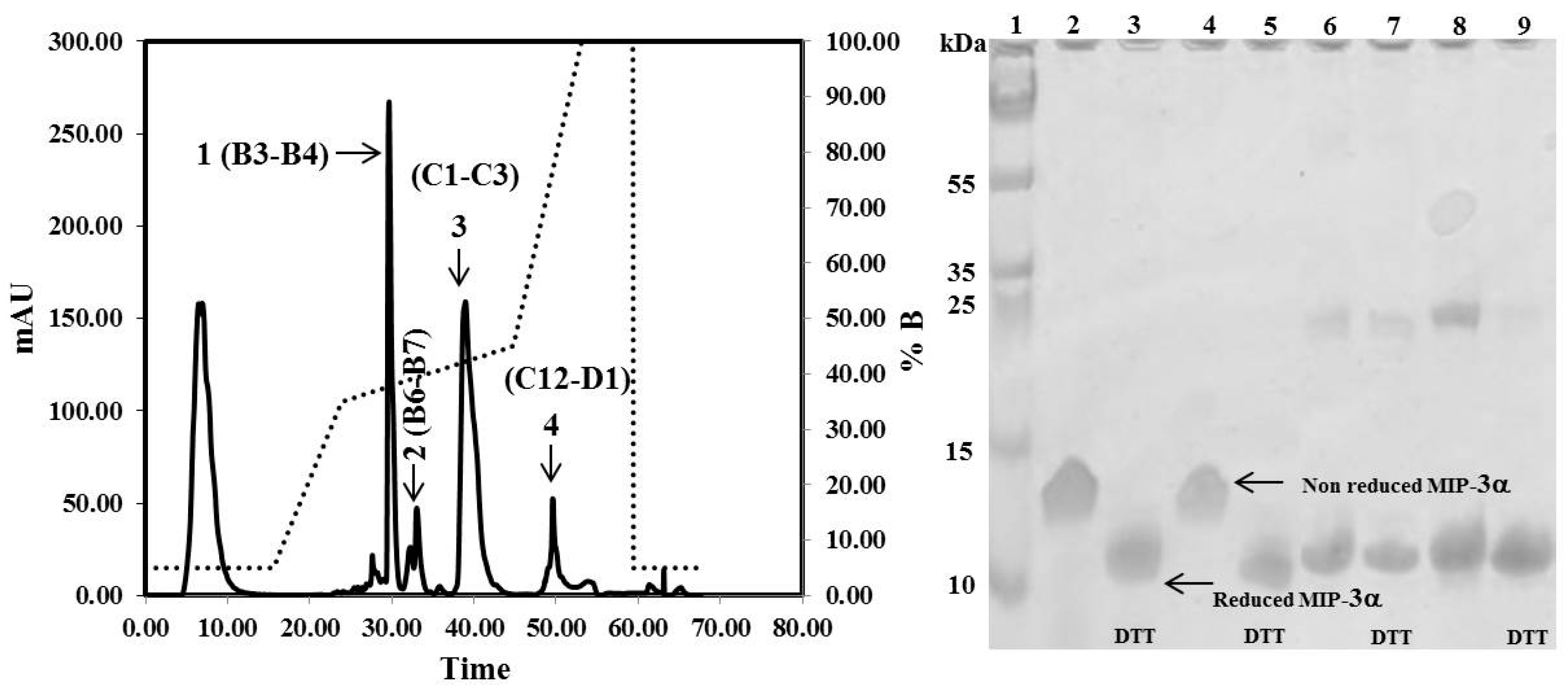 Microorganisms 07 00008 g004