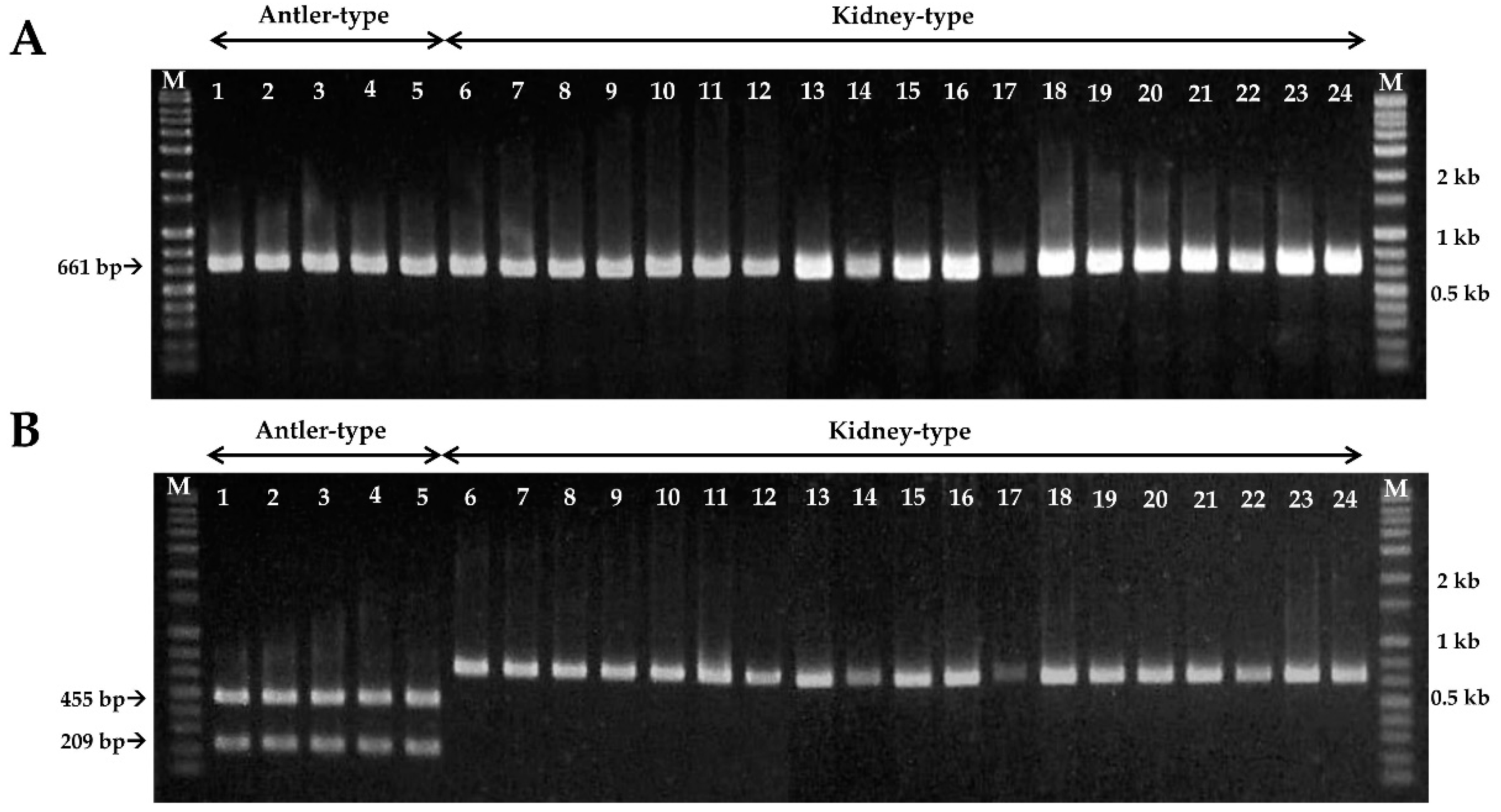 Microorganisms 07 00012 g002 Microorganisms 07 00012 g002