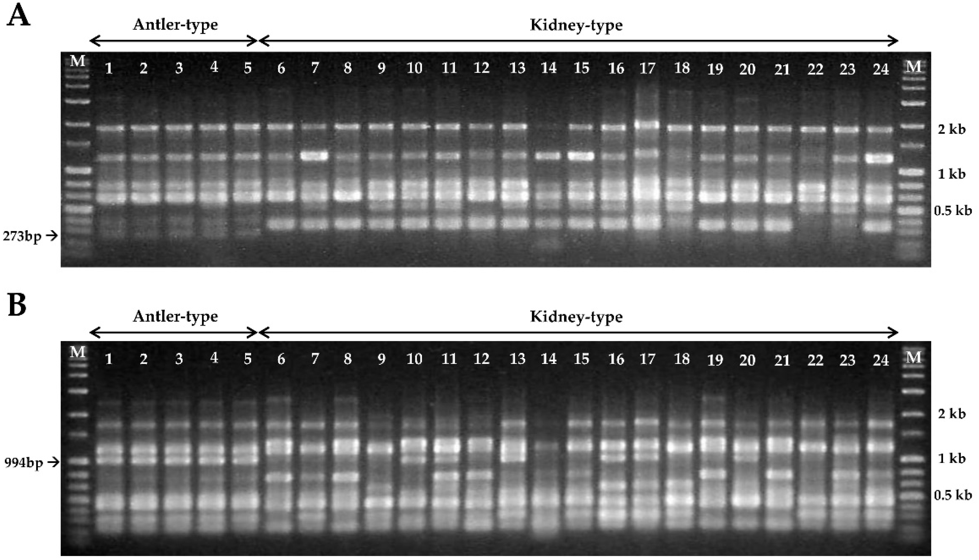Microorganisms 07 00012 g003 Microorganisms 07 00012 g003