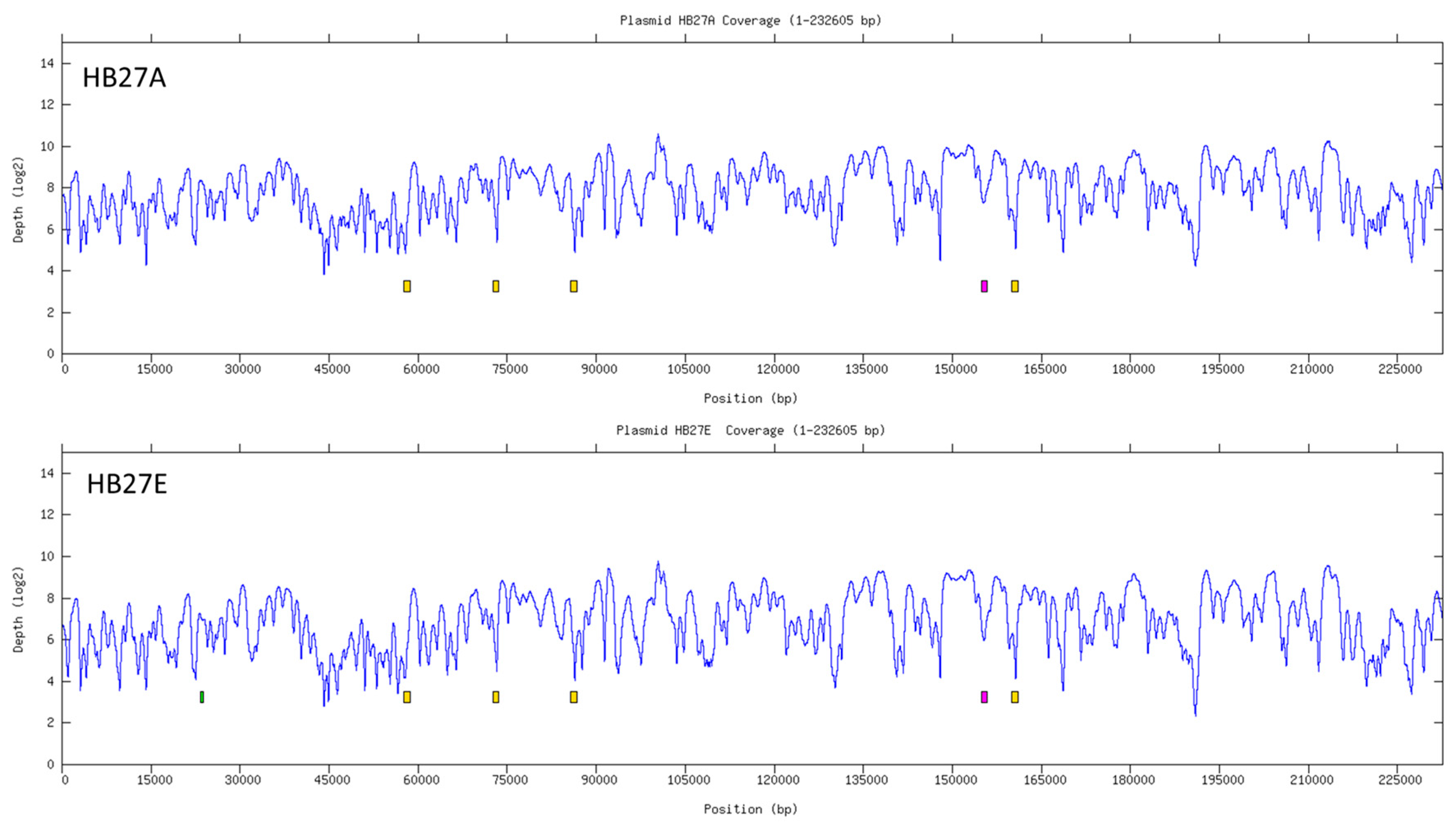 Microorganisms 07 00025 g004