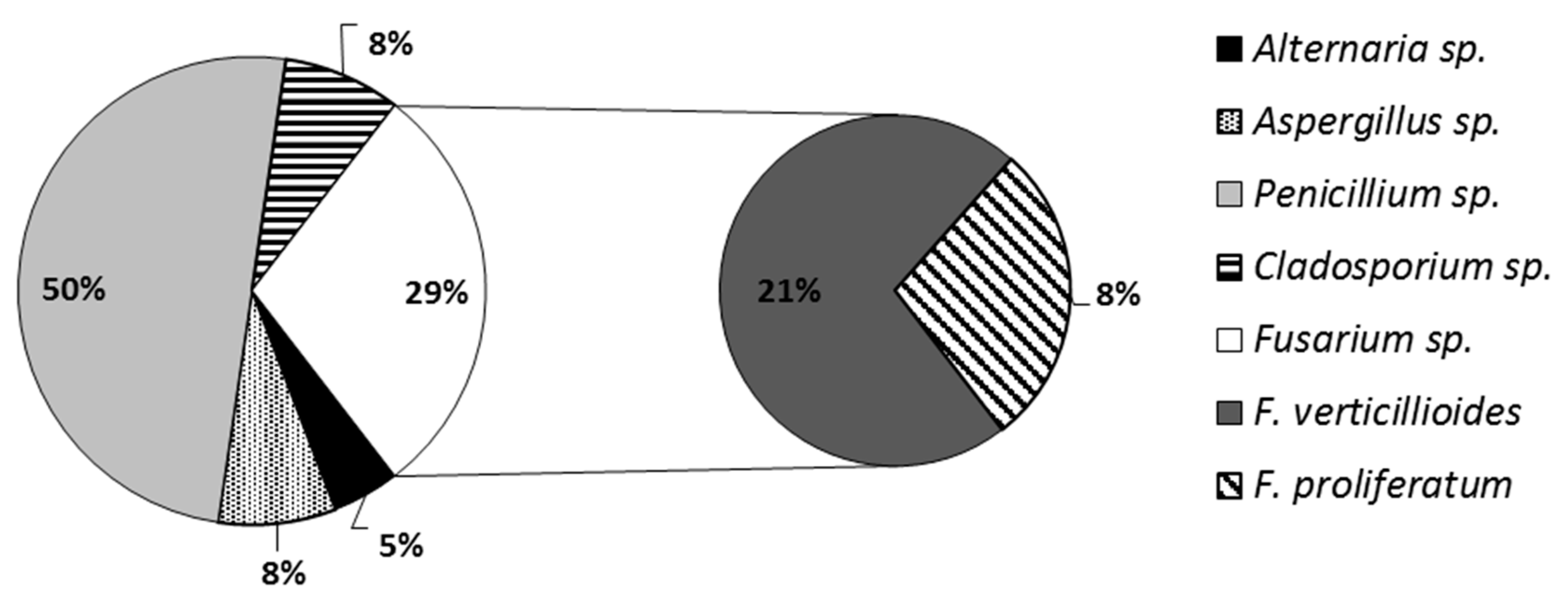 Microorganisms 07 00026 g001