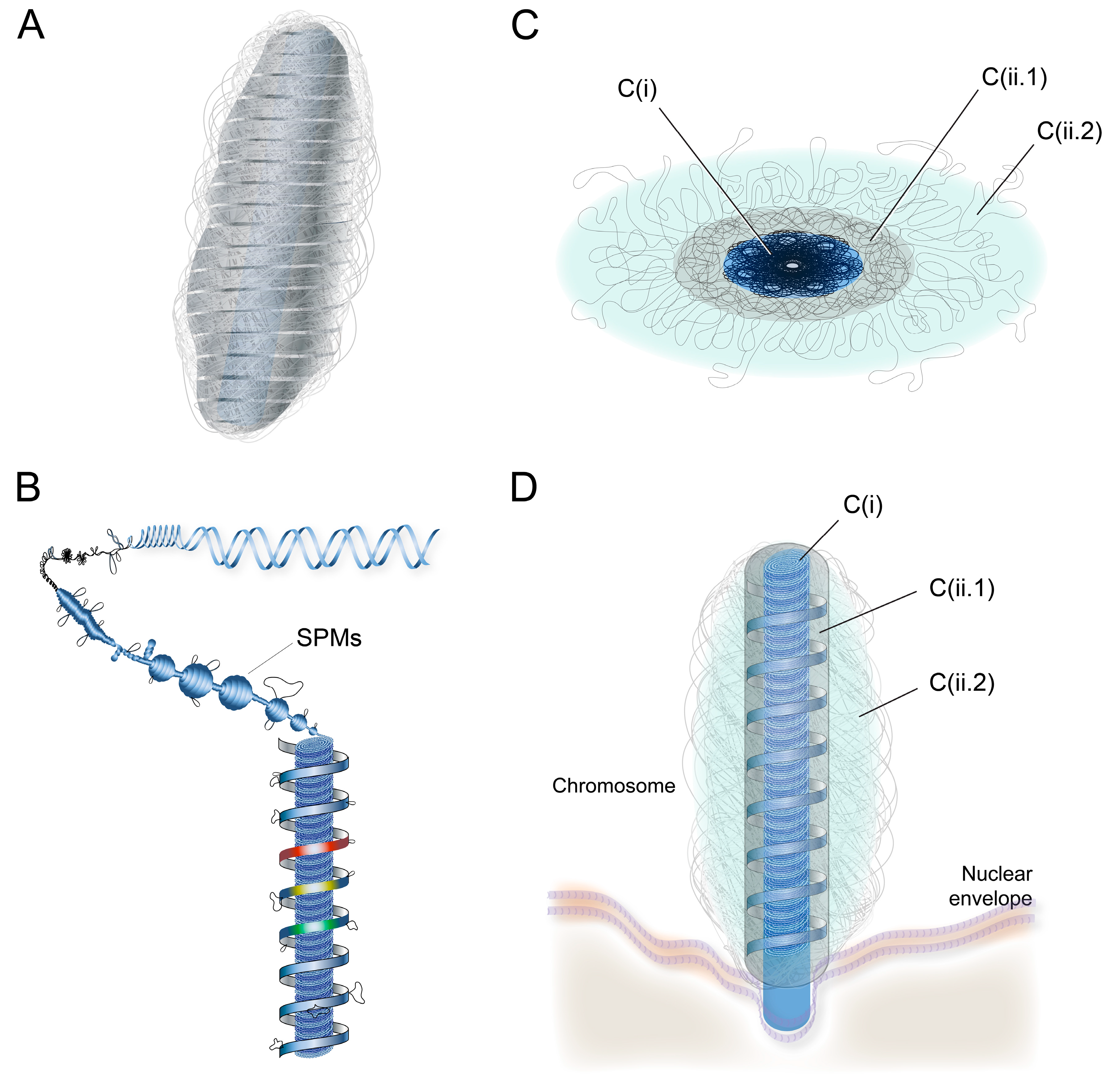 Microorganisms 07 00027 g002