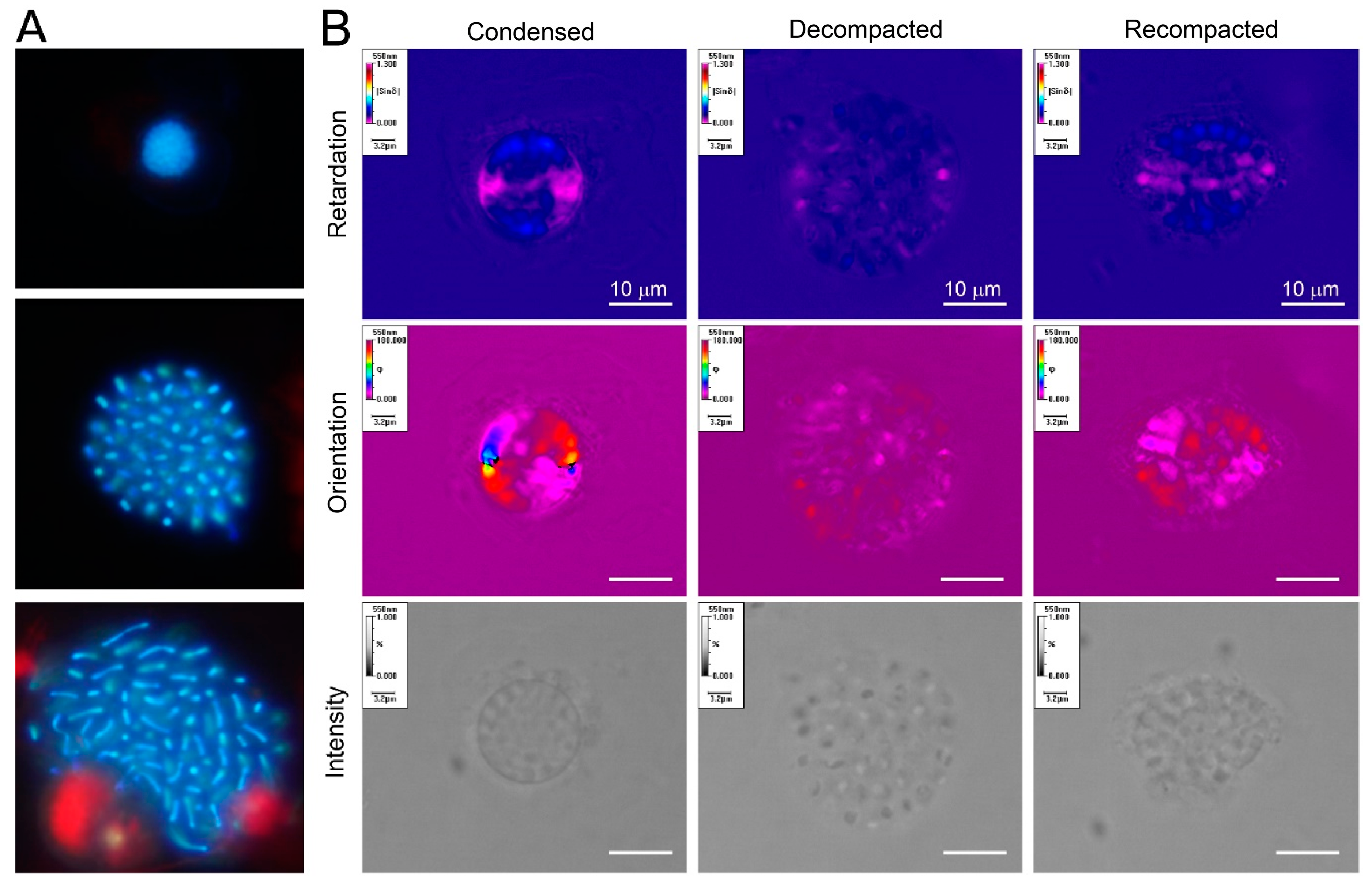 Microorganisms 07 00027 g003