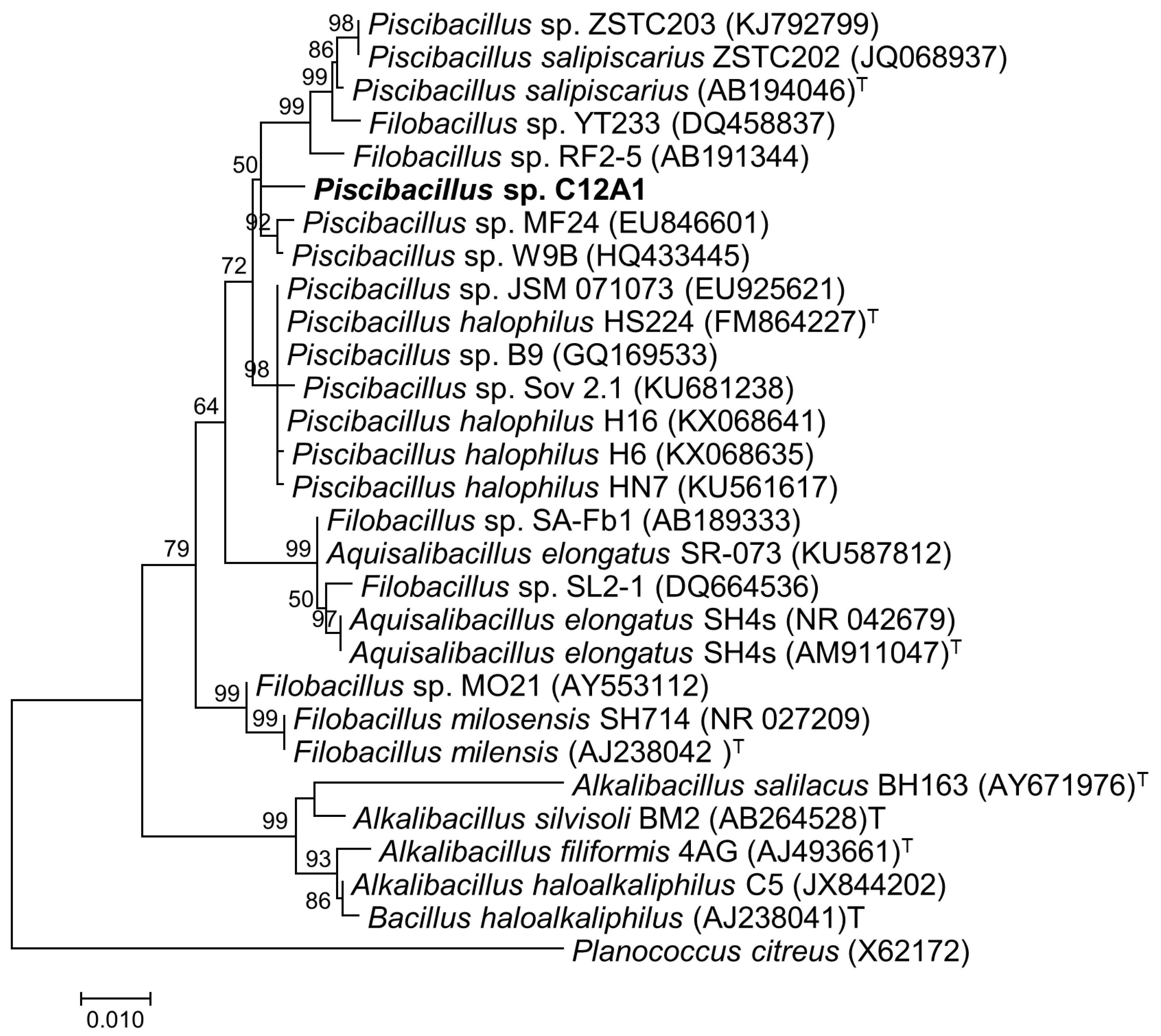 Microorganisms 07 00034 g004