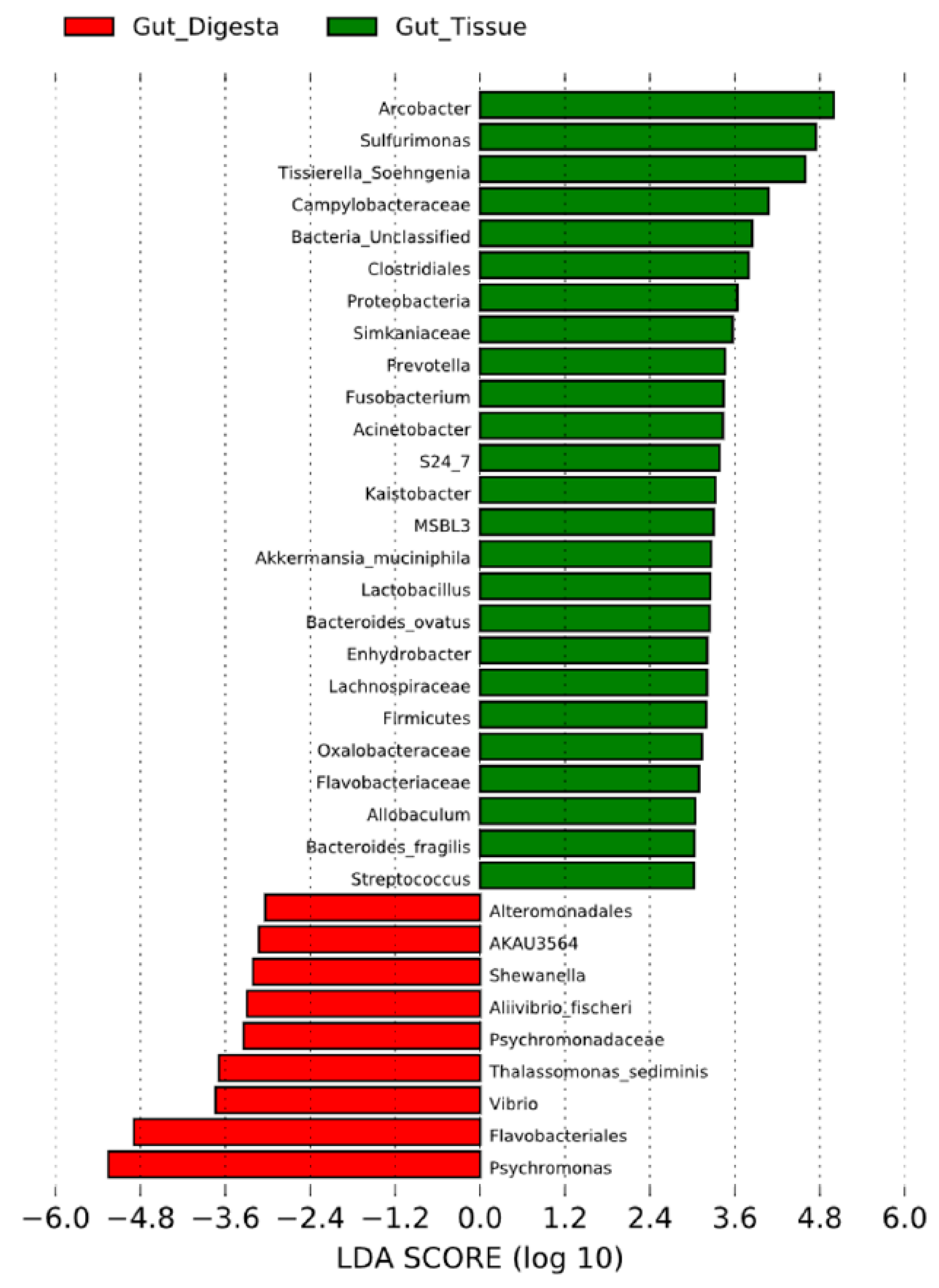 Microorganisms 07 00035 g007