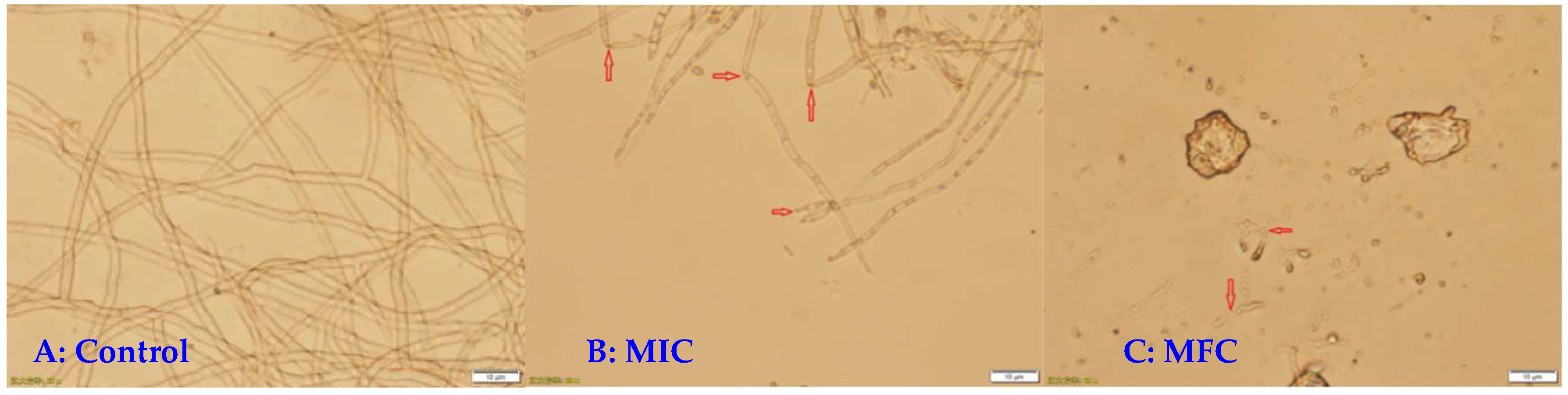 Microorganisms 07 00036 g002 Microorganisms 07 00036 g002