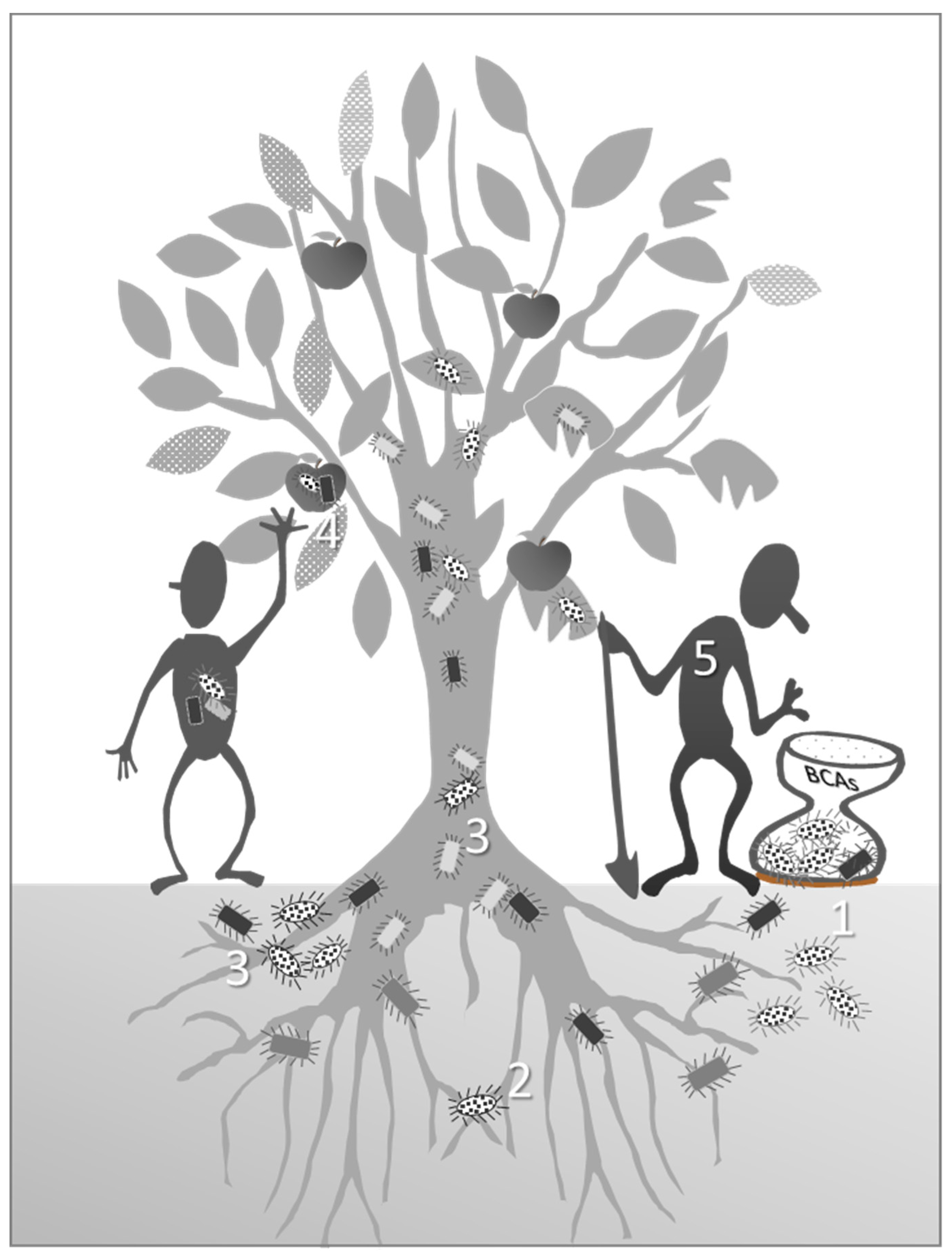 Microorganisms 07 00044 g002