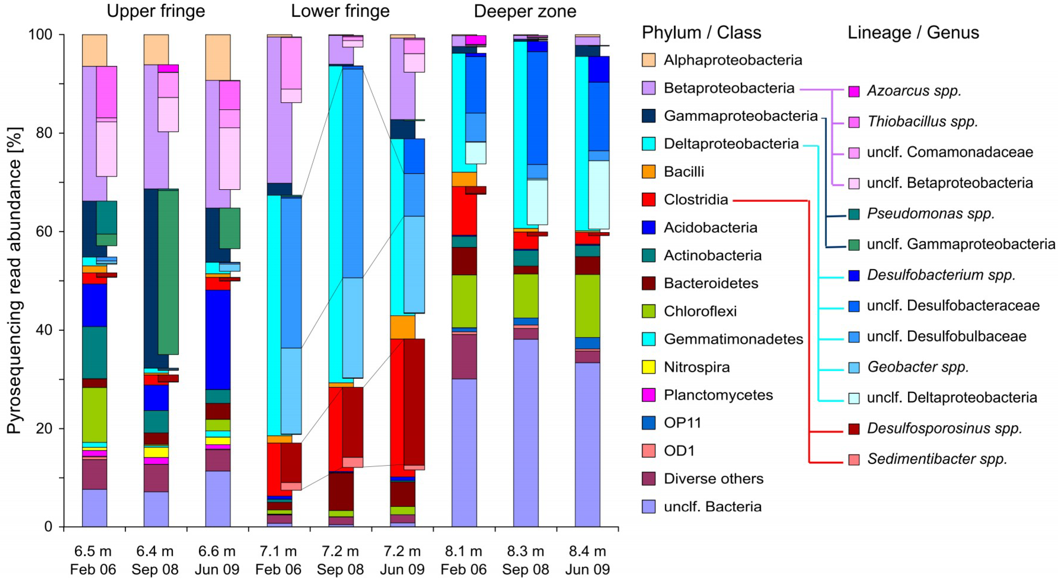 Microorganisms 07 00046 g004