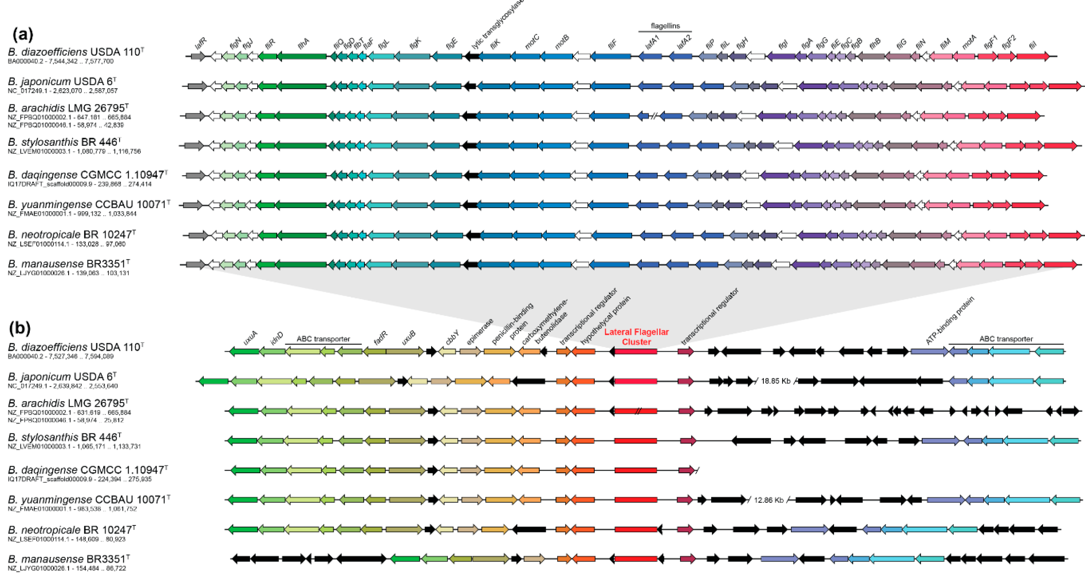 Microorganisms 07 00050 g002