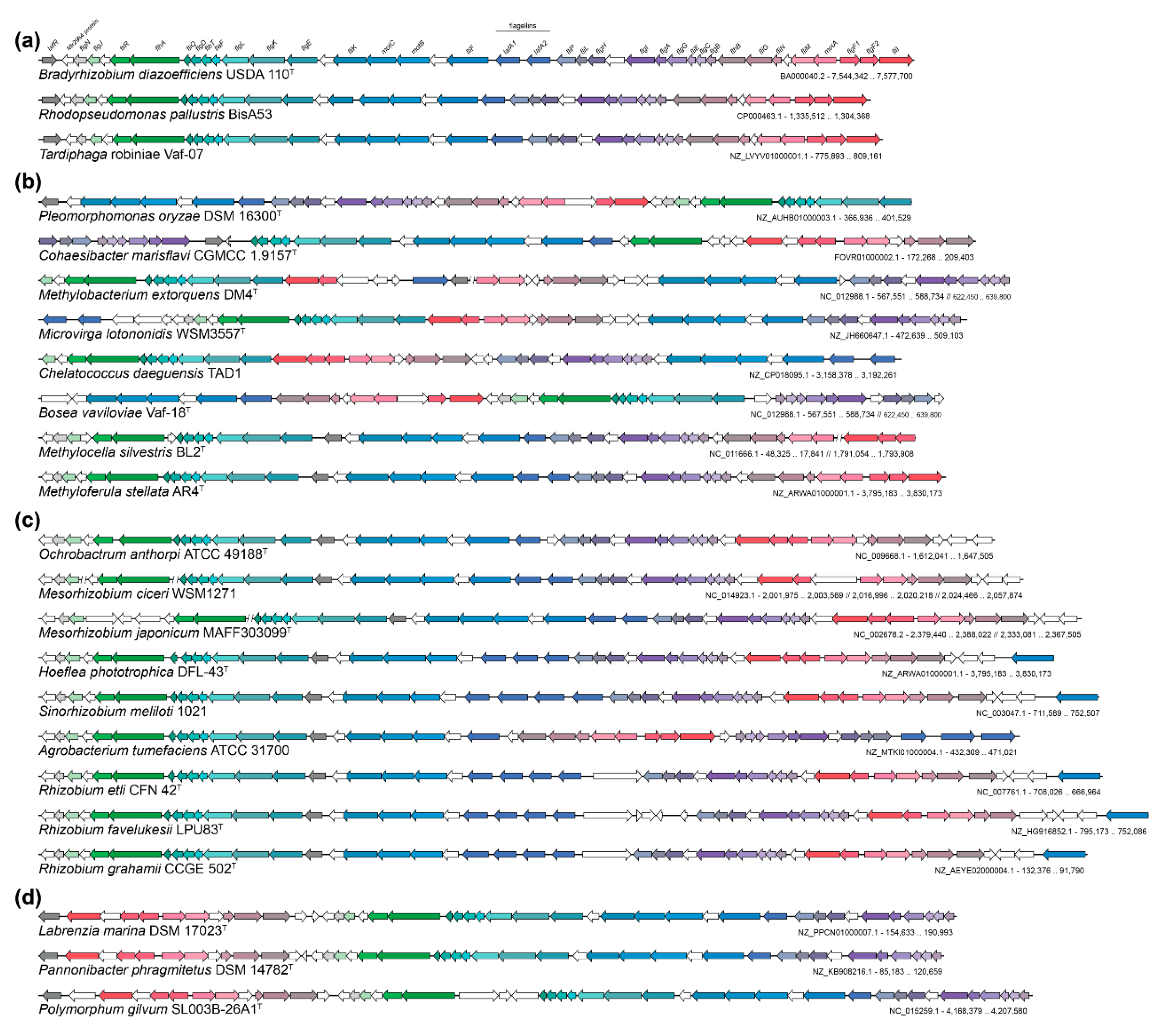 Microorganisms 07 00050 g003