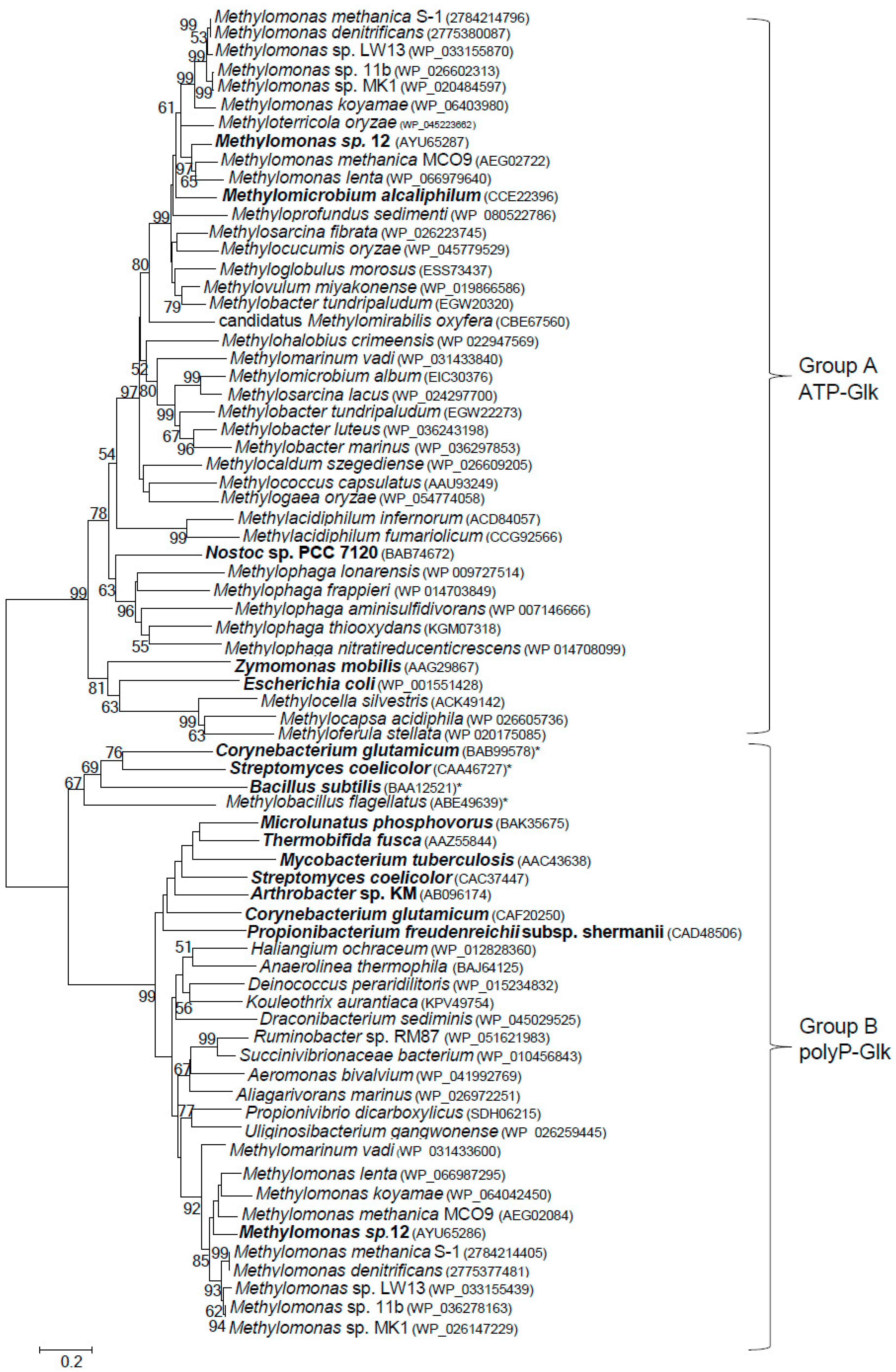 Microorganisms 07 00052 g004