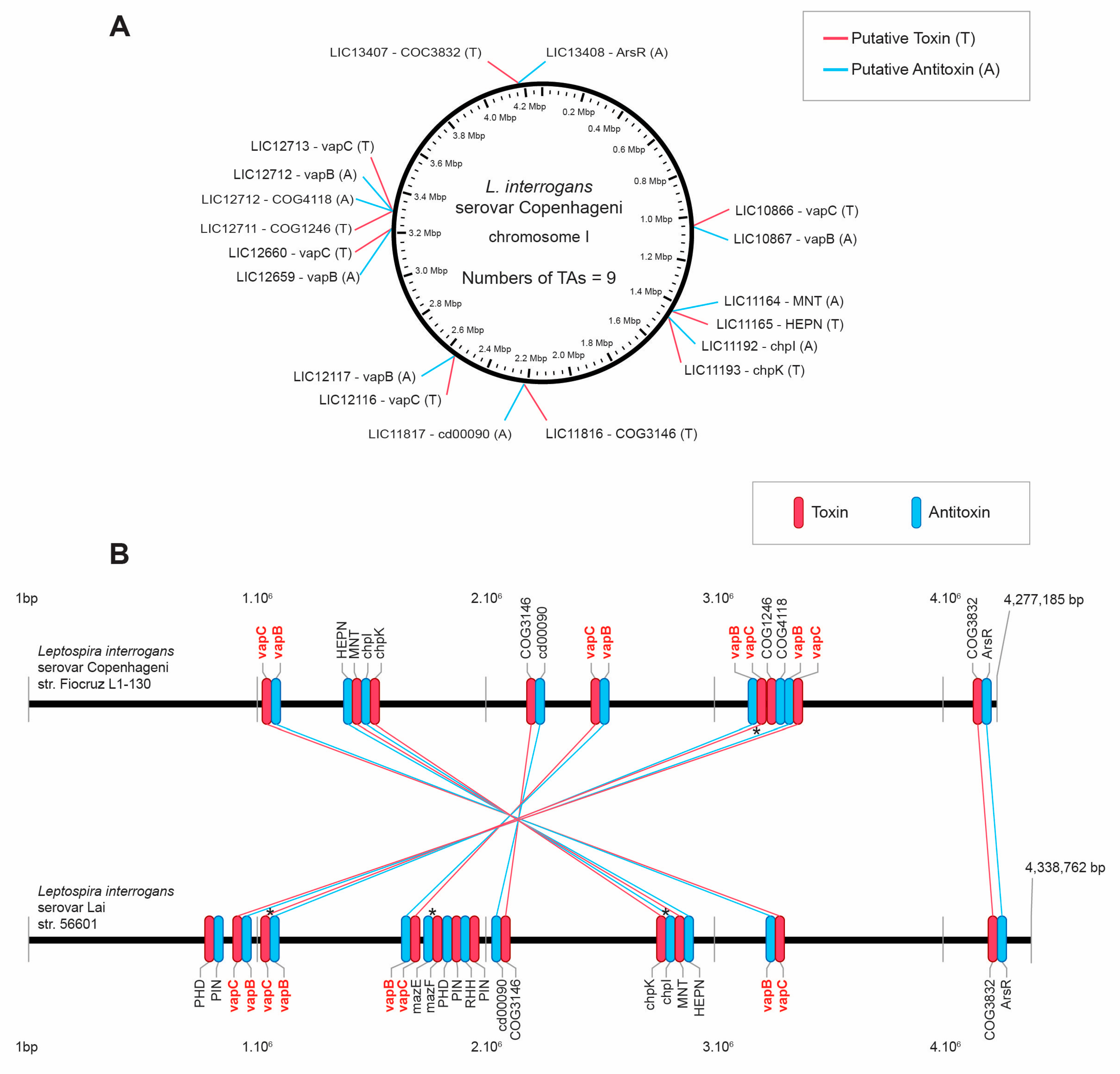 Microorganisms 07 00056 g001