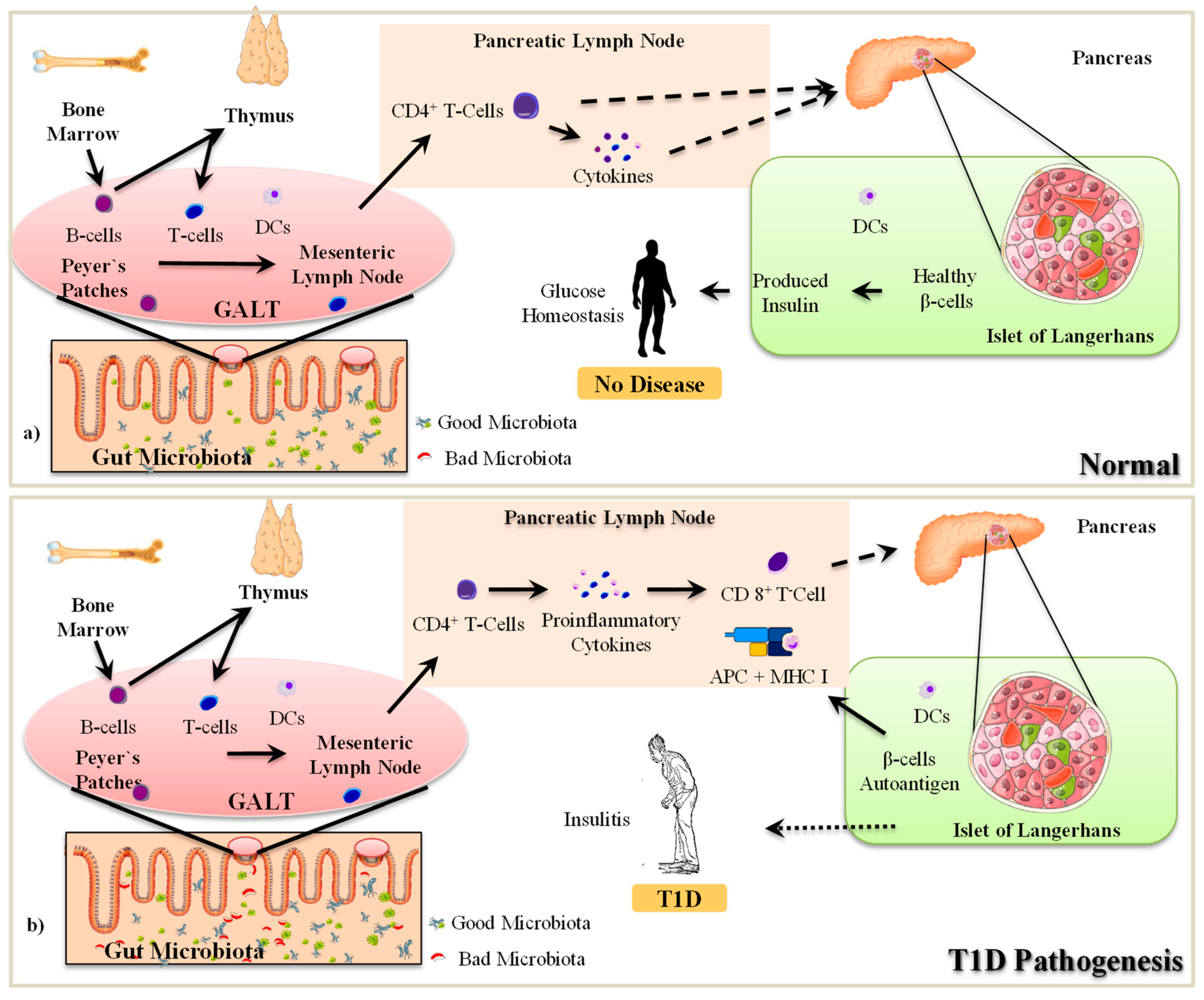 Microorganisms 07 00067 g002